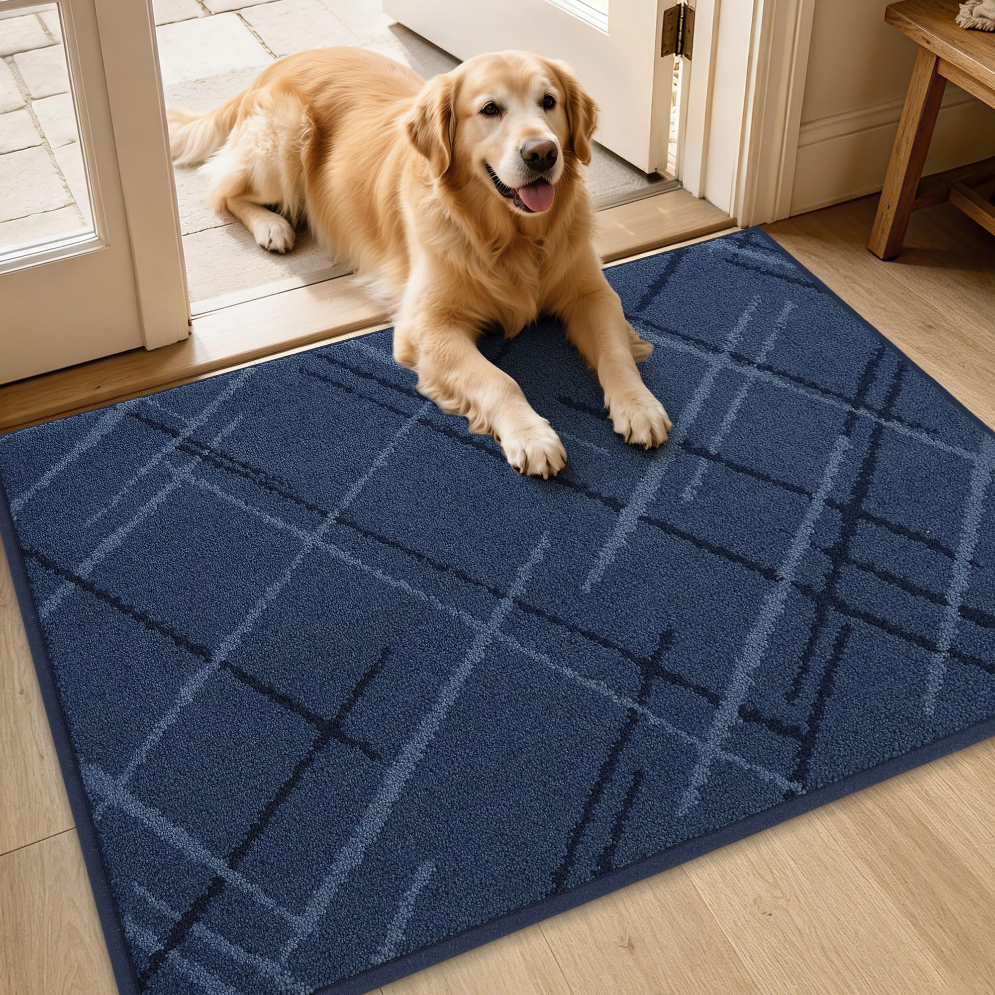 BEQHAUSE Blue Door Mat - Non-Slip Entryway Rug -8