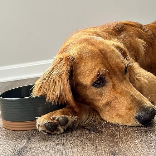 Miniatura 7 de Mora - Cuenco de cerámica para mascotas, tamaño mediano, plato de comida y agua para cachorros grandes, gatos, perros perdigueros, perros de tamaño