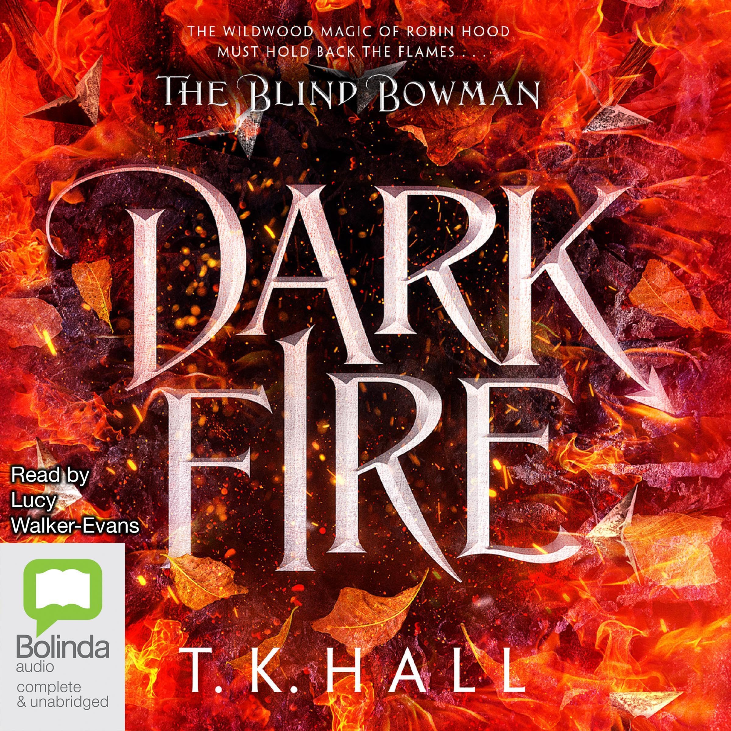 Cover art for Dark Fire: The Blind Bowman, Book 2