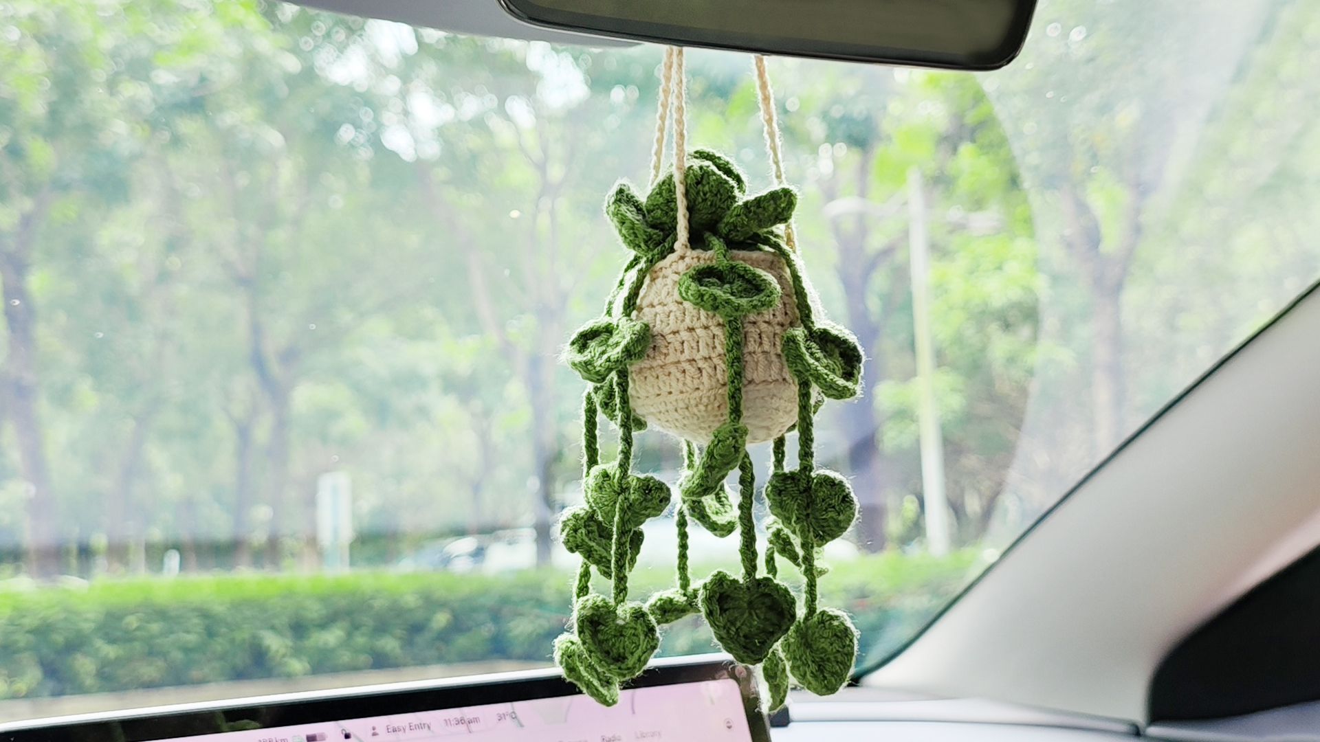 Amazon.com: HFZRZFH Crochet Plant for Car Mirror - Handmade