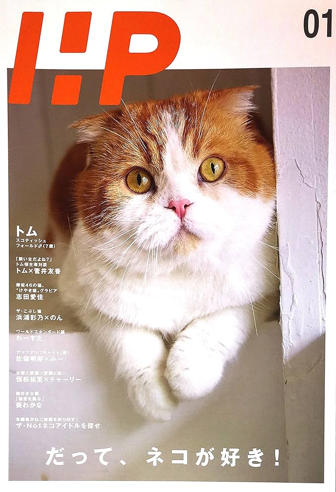 ハッスルマガジン VOL1 WELLER06_cover_1024x1024.jpg?v