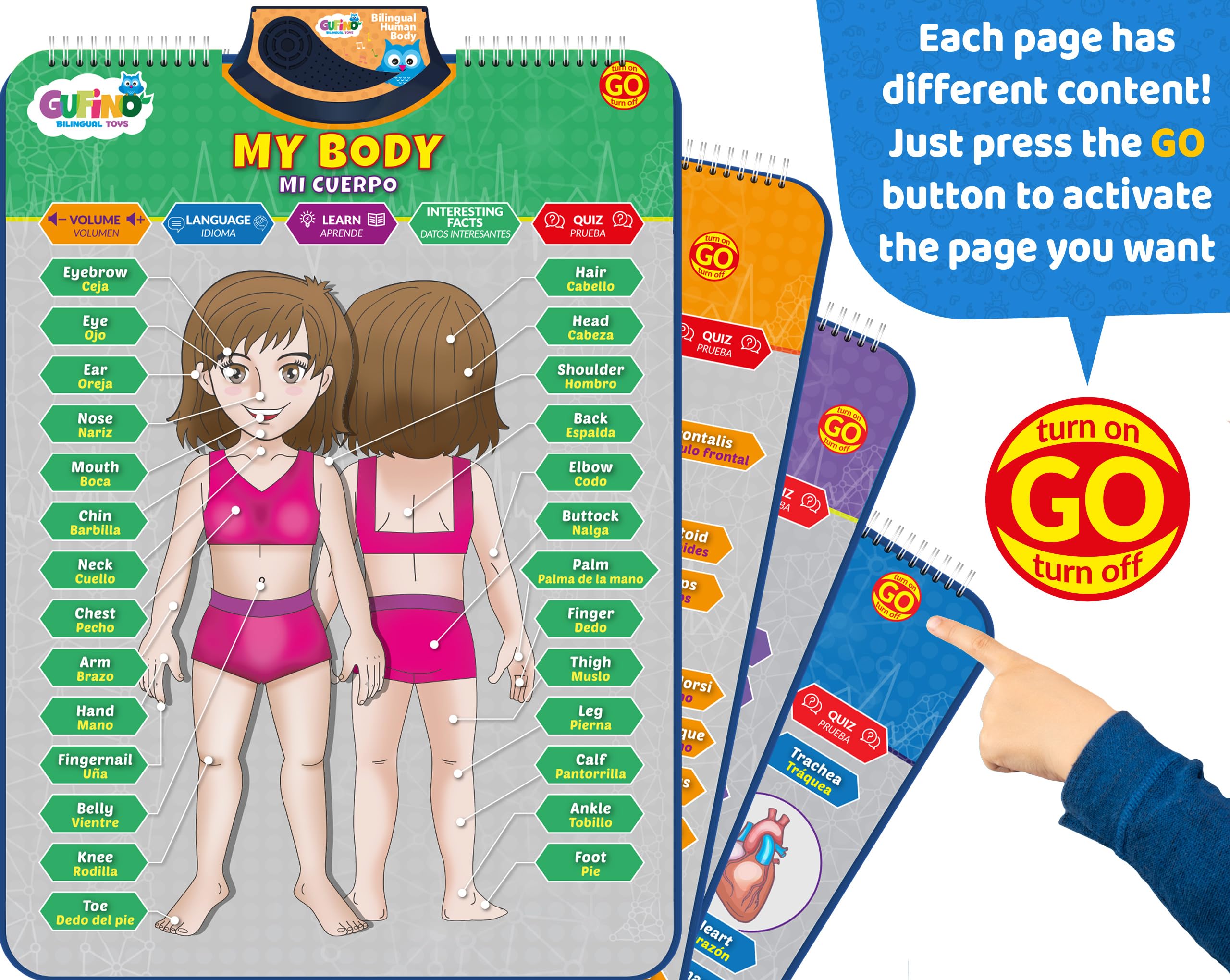 Modelo de cuerpo humano bilingüe para niños - Anatomía humana interactiva para niños con juegos y cuestionarios - Carteles educativos para aprender partes del cuerpo, huesos y órganos. Inglés y 7