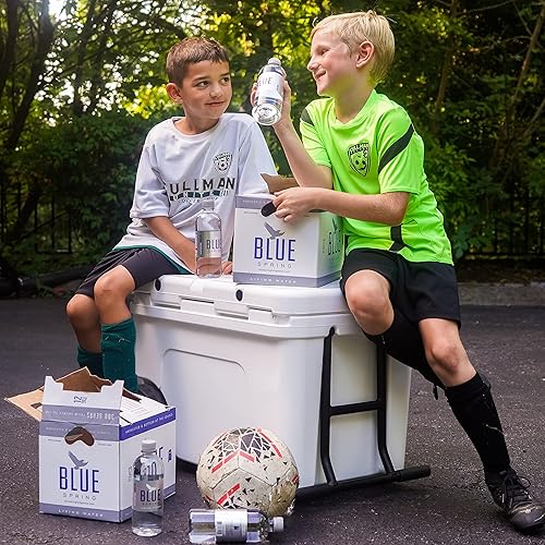 Miniatura 4 de Blue Spring Living Water, Agua de manantial natural Pure Premium, pH equilibrado de 7.1-7.2, agua de manantial embotellada, 16.9 onzas líquidas