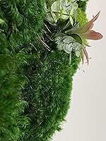 Vista 5 de Luxury Round Framed with Light Green Moss Art Luxury Vertical Garden Wall Designed Home Decor Office Commercial