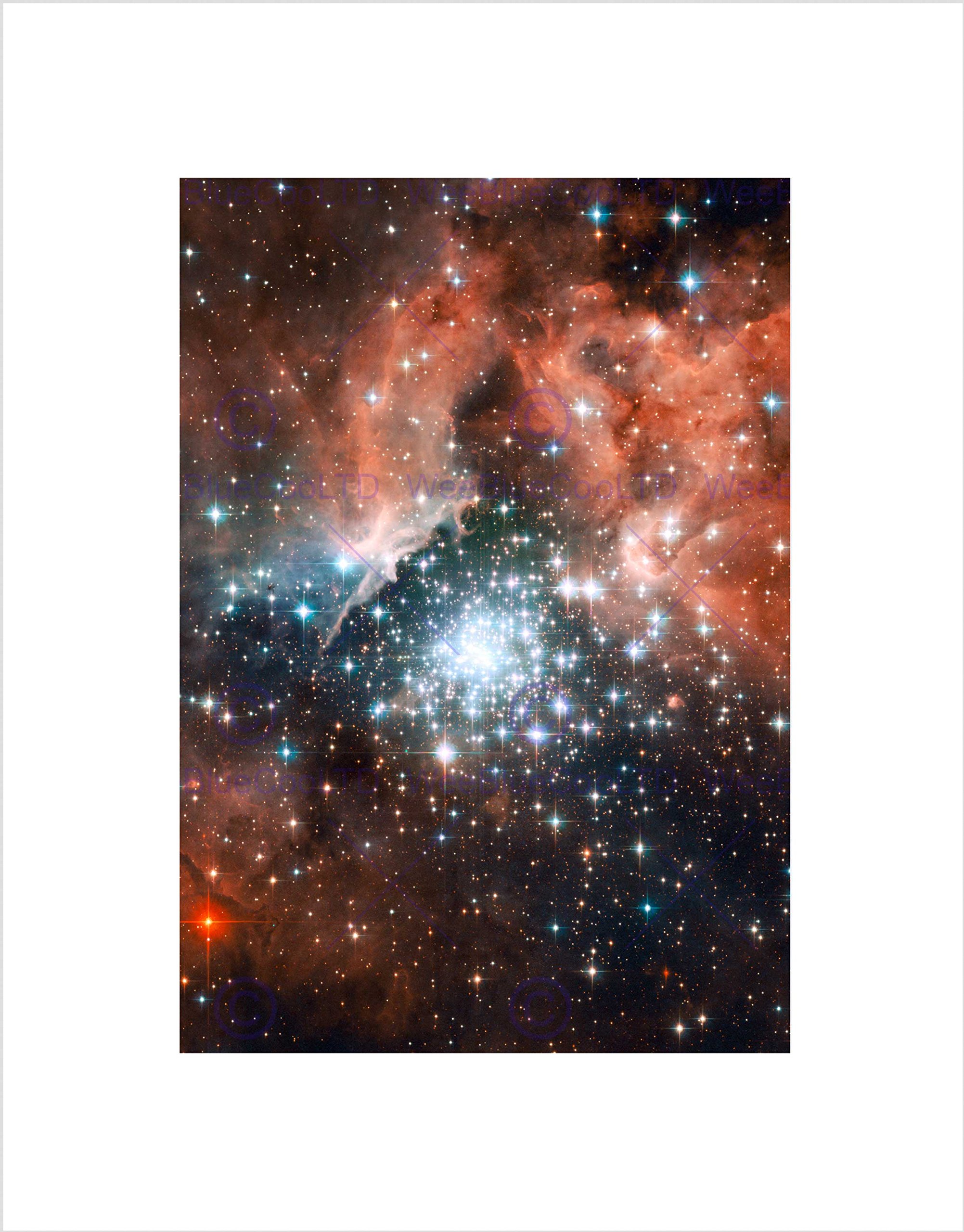 Wee Blue Coo Hubble Space Telescope Star Cluster Bursts Into Life Wall Art Print