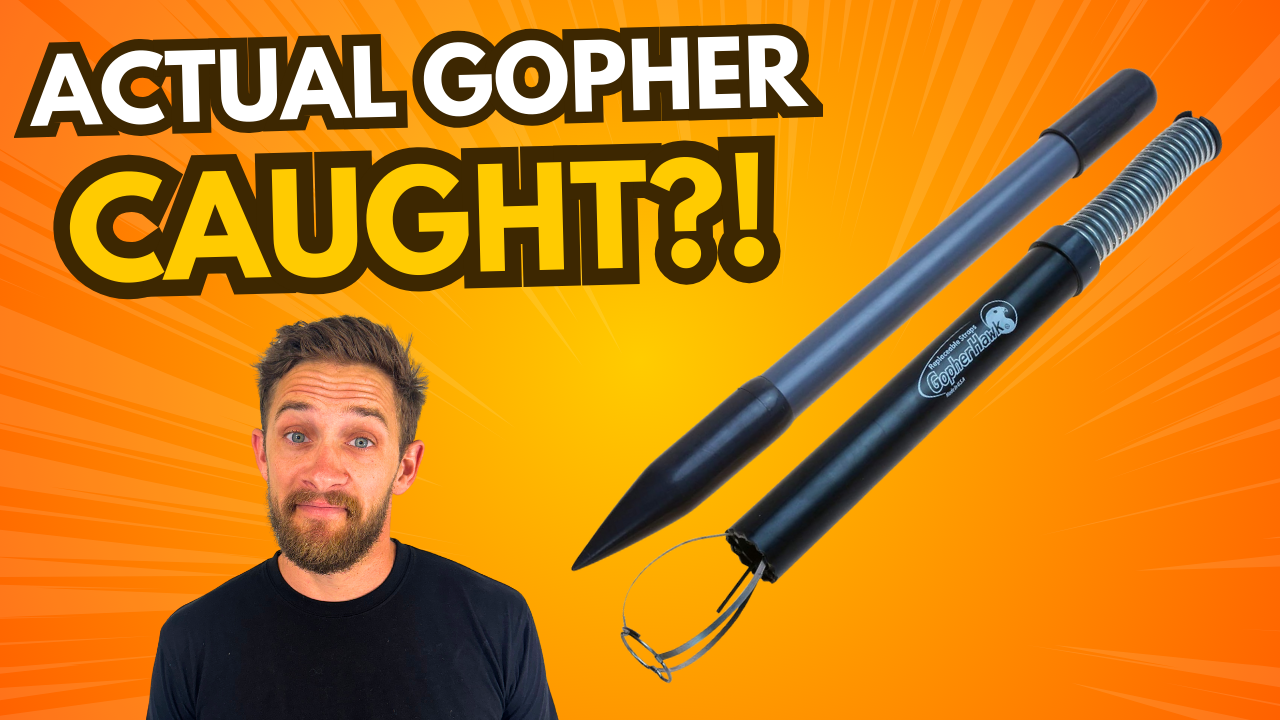 Watch I Caught a Gopher on DAY ONE with This Trap! on Amazon Live