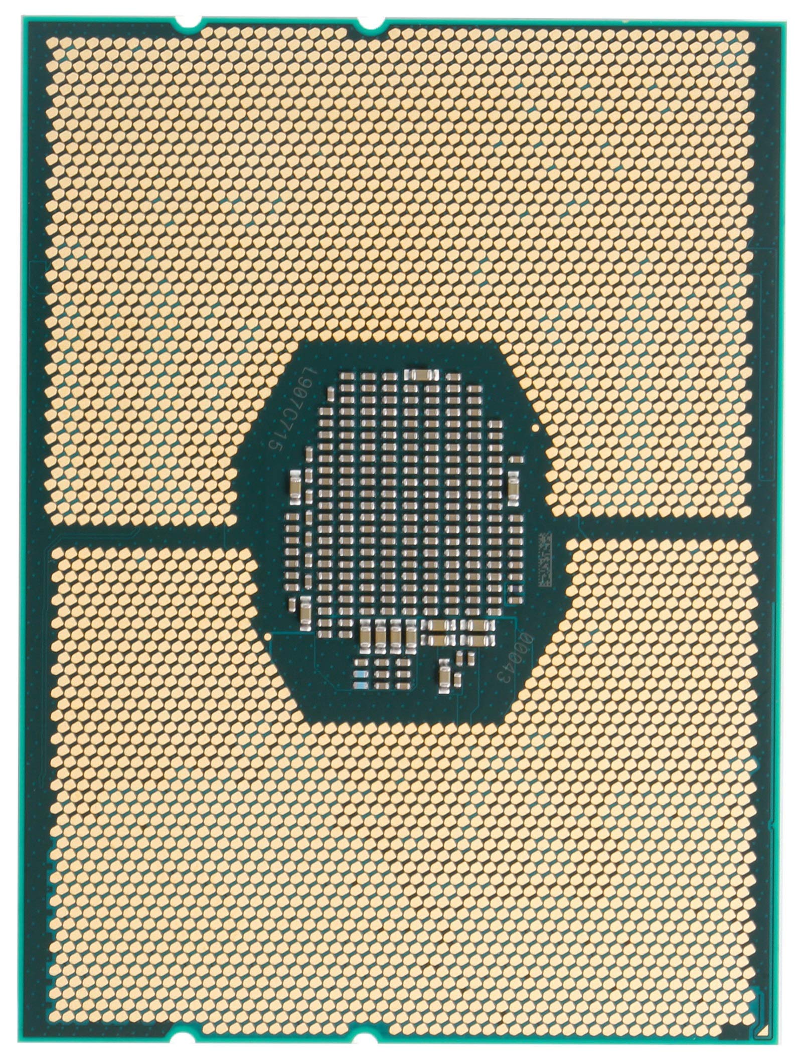 Amazon.com: Intel OEM Tray Processors Intel SRFBP Xeon Bronze 3204