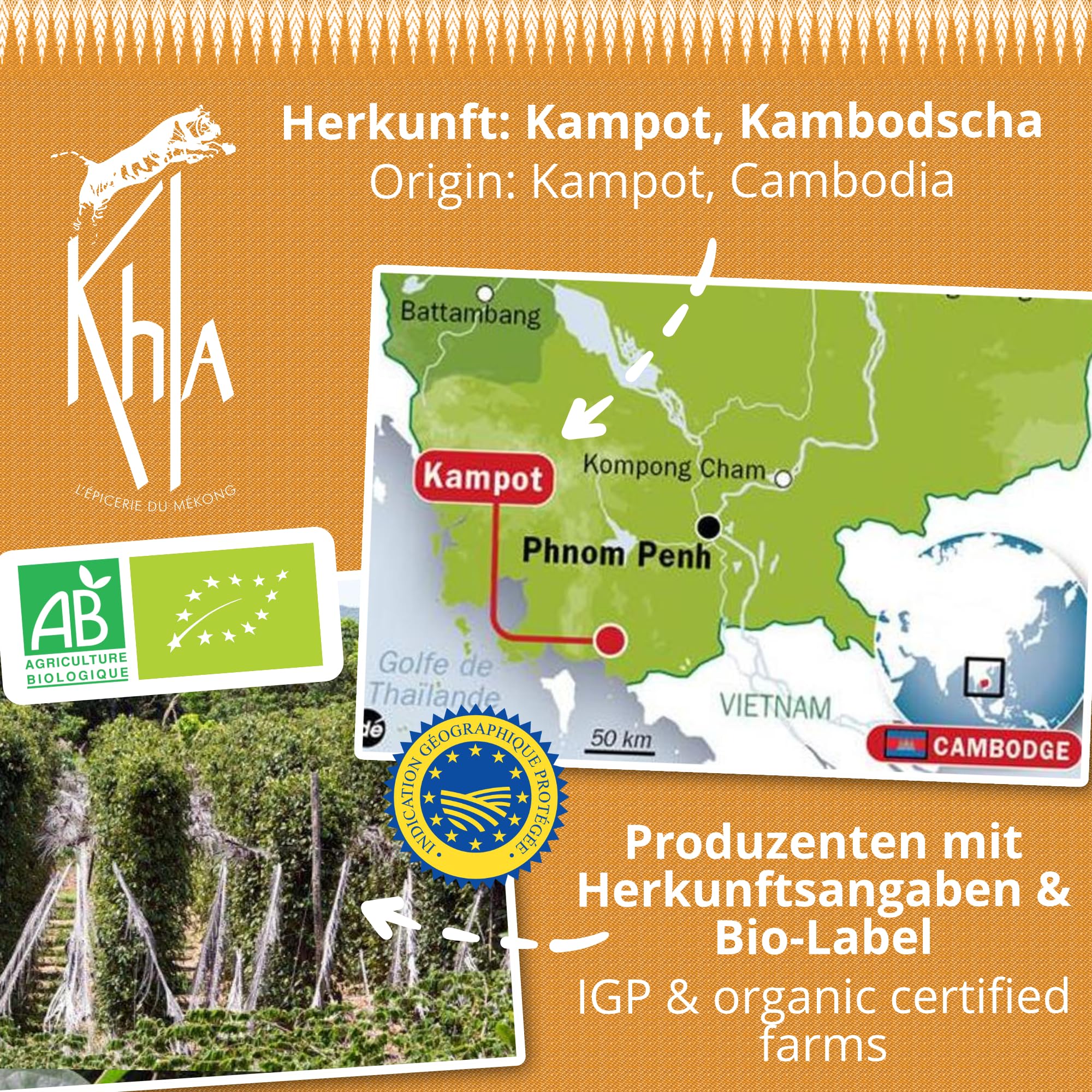 Khla - Kampot Pfeffer Weiß Bio 200g - Weißer Pfefferkörner Ganz Biologisch - Grand Cru, Stark & Kräftig - Zutat Küchen - Direkt vom Erzeuger - Weiße Körner Ganze für Mühle - Aus Kambodscha