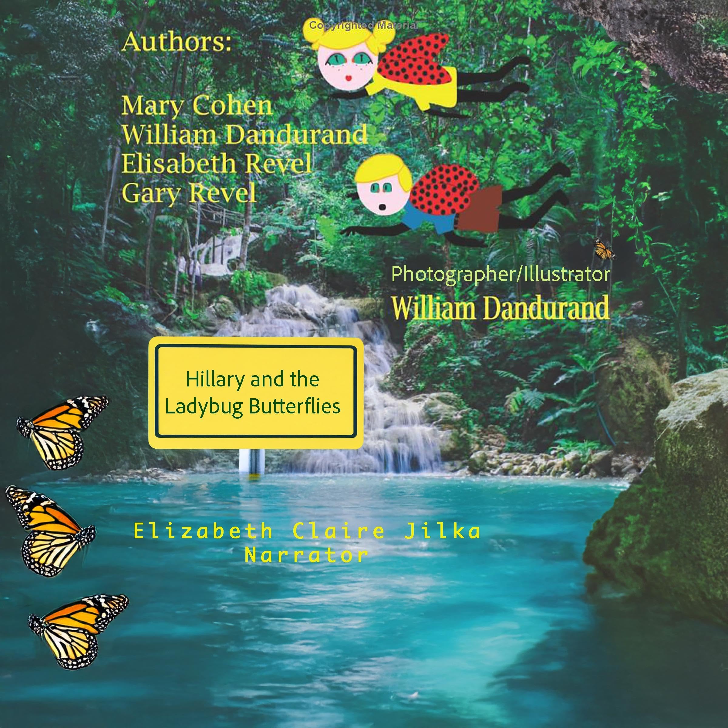 Hillary and the Ladybug Butterflies