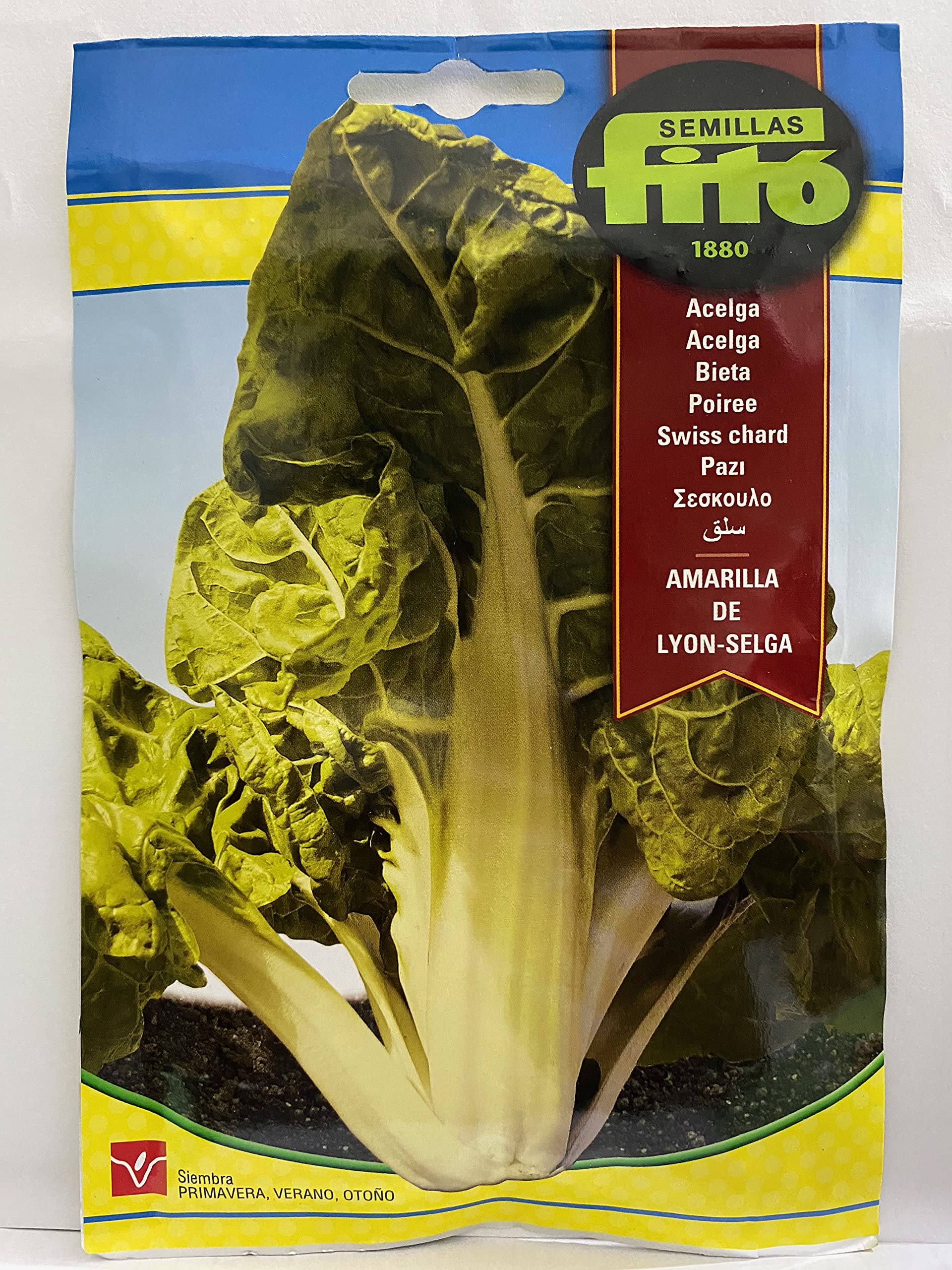 Semillas Fitó FITO® SWISS CHARD AMARILLA DE LYON – SELGA SEEDS (Net weight 10 grams.) – بذور سلق