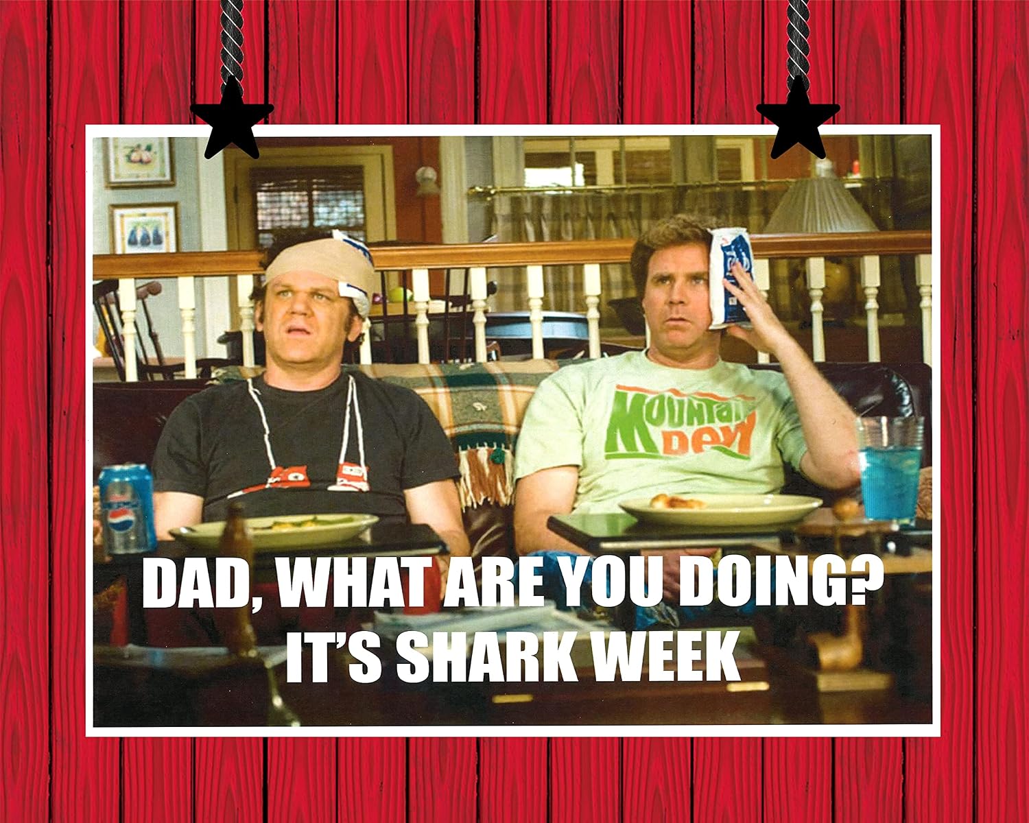 Step Brothers Movie Wall Decor Catalina Wine Mixer Prestige World Wide Will Ferrell Step Brothers Poster 8.5x11 (UNFRAMED) 8.5 x 11 Inch