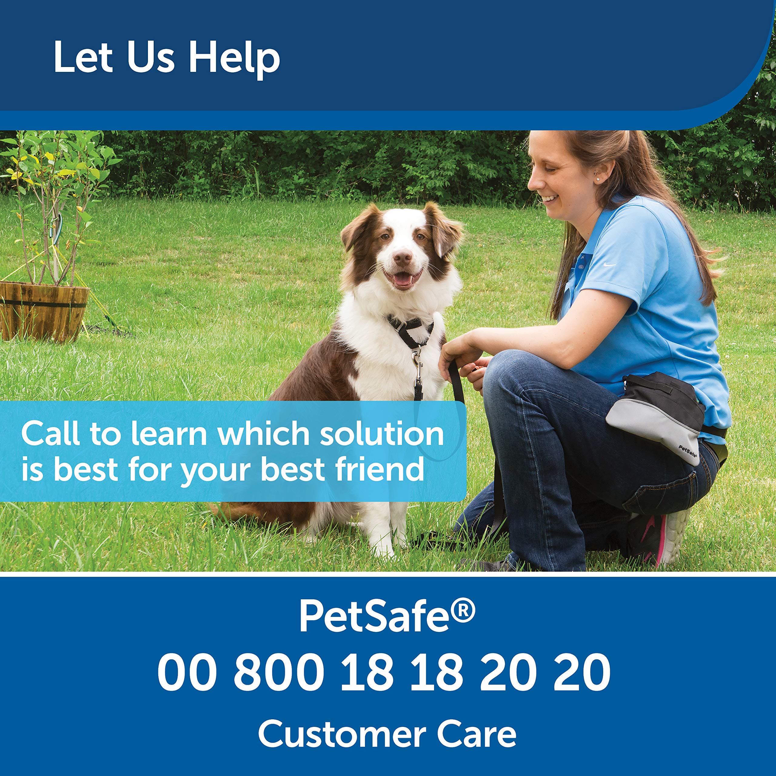 petsafe collarless trainer