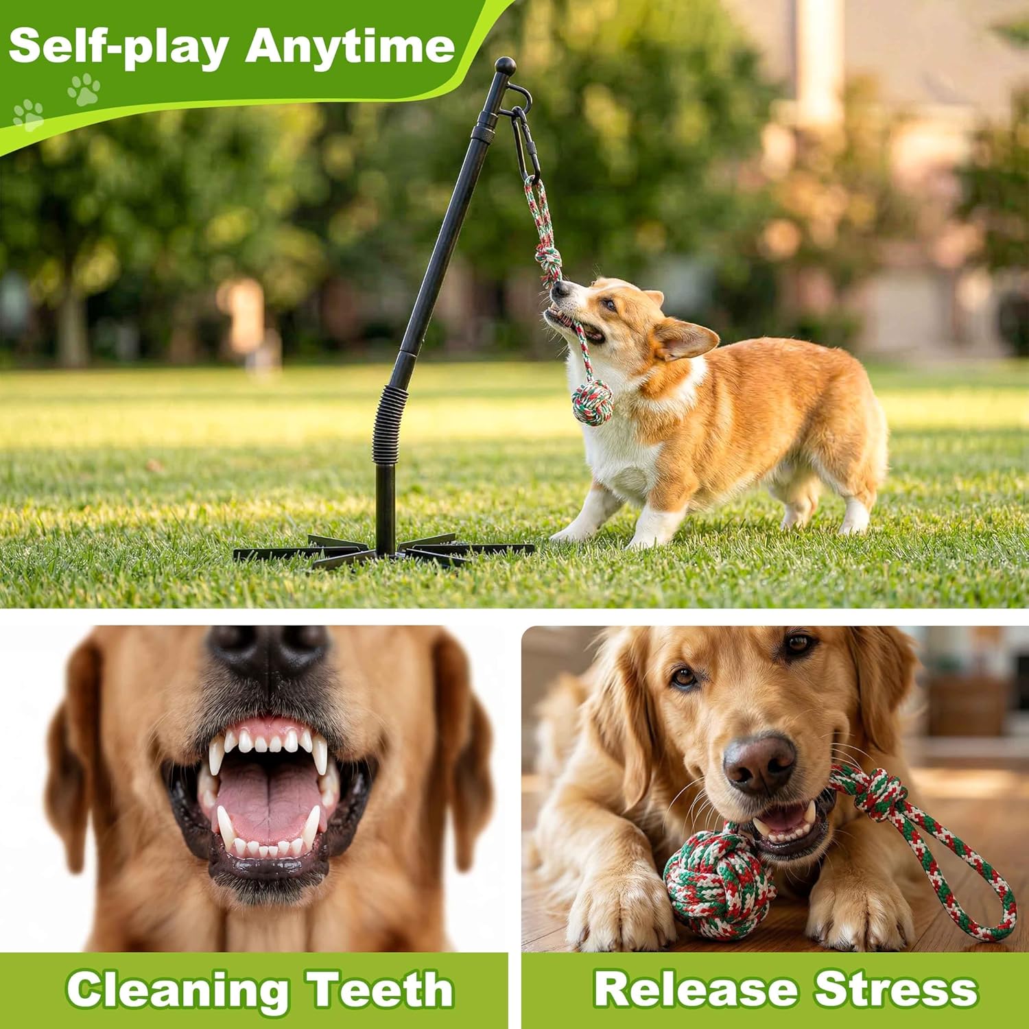 CWV Outdoor Tug of War Dog Toy with 4 Tether Dog Toys, 36"-56" Adjustable Height Tug Toy with Pole Cover for Self Play and Exercise, 360°Rotation Dog Rope Toy for Large Dogs
