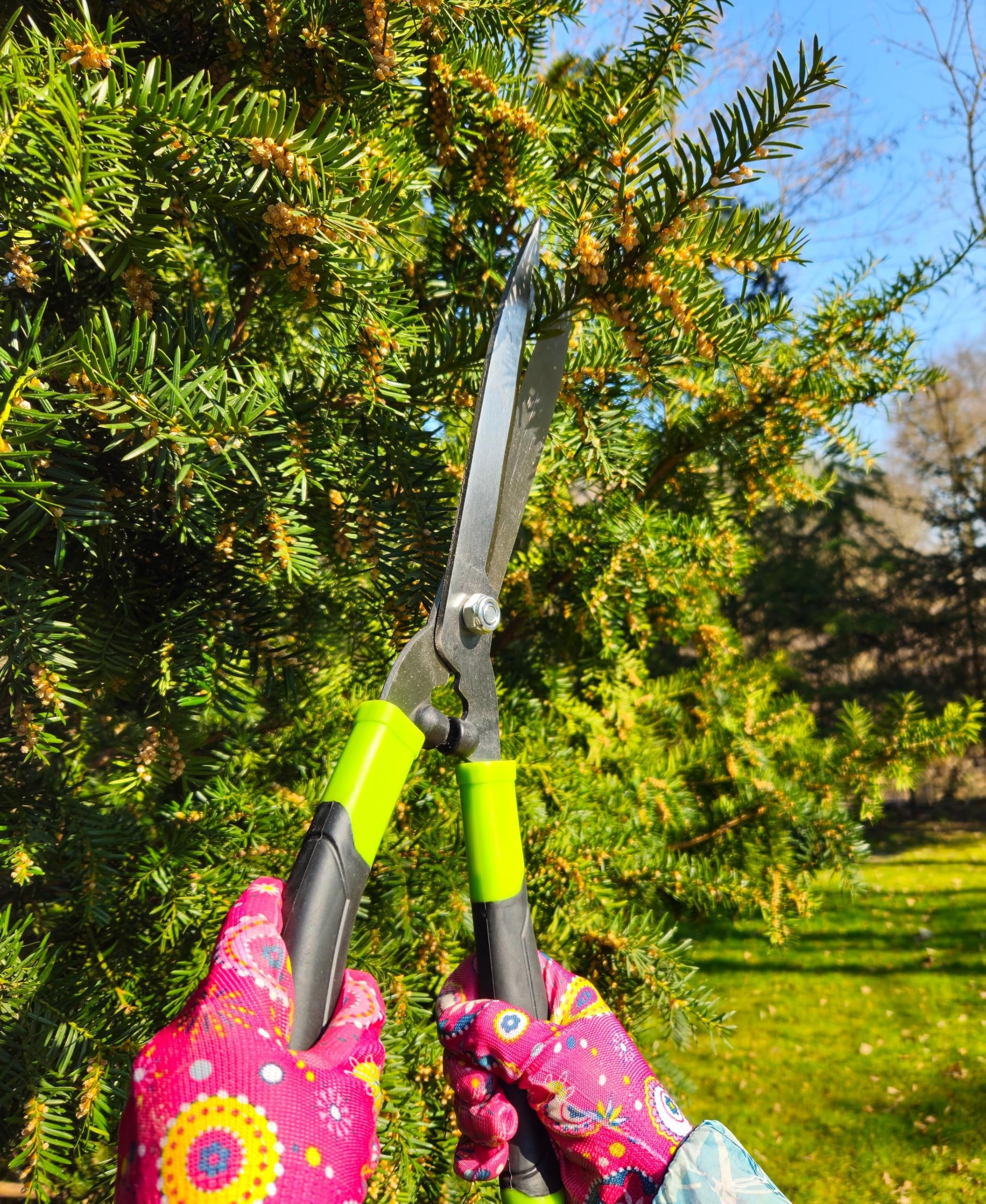 MIVOS Cesoie per siepi 45 cm lame in acciaio robuste troncarami