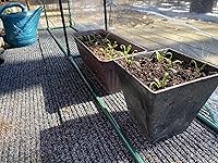 Review Image by Denise Yost Denise Yost