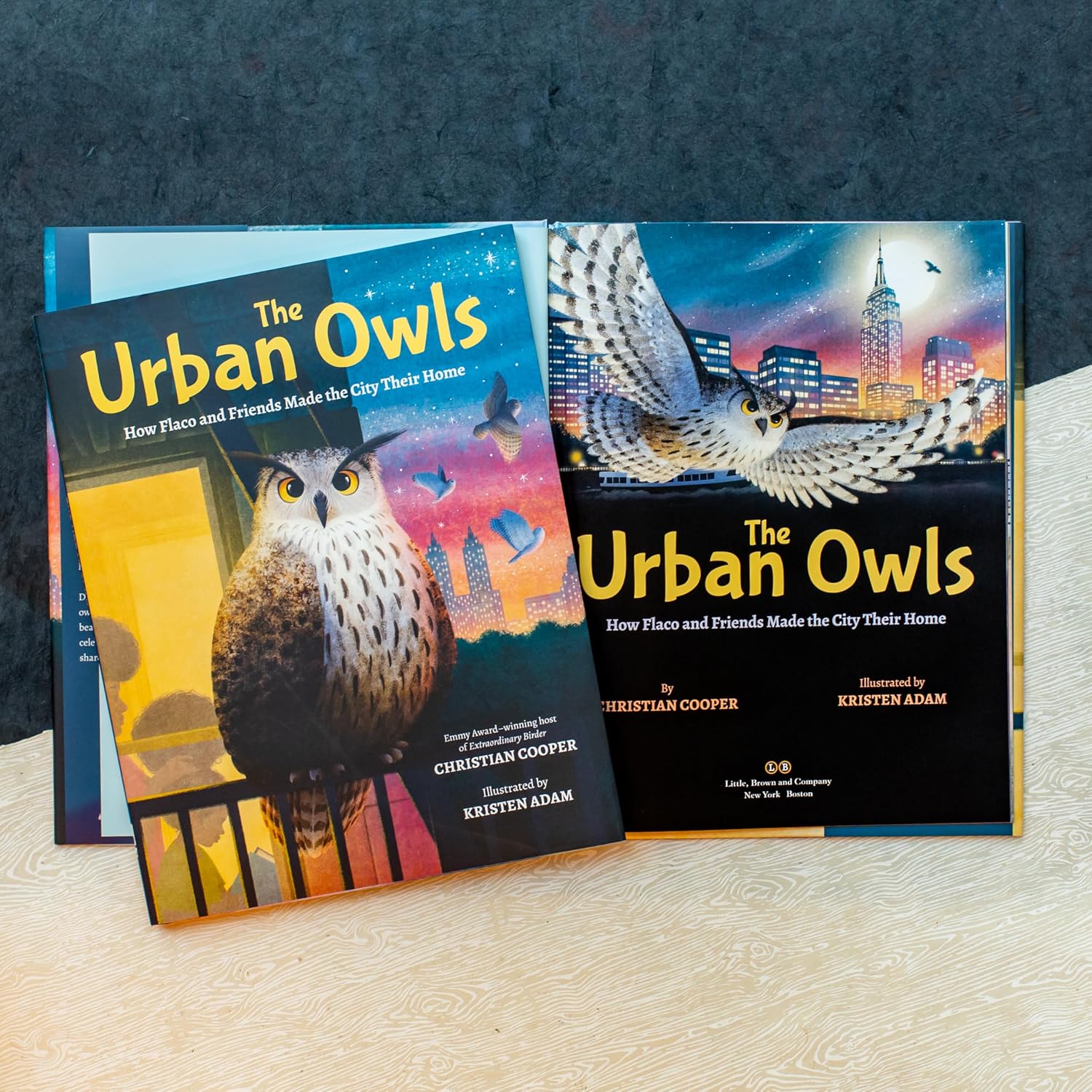 The Urban Owls: How Flaco and Friends Made the City Their Home
