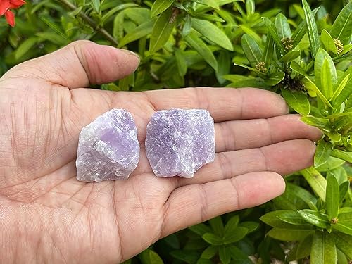 Vista 53 de GAF TREASURES Cristales de rosa del desierto crudos al por mayor, piedra natural de rosa del desierto, cristales naturales de rosa del desierto