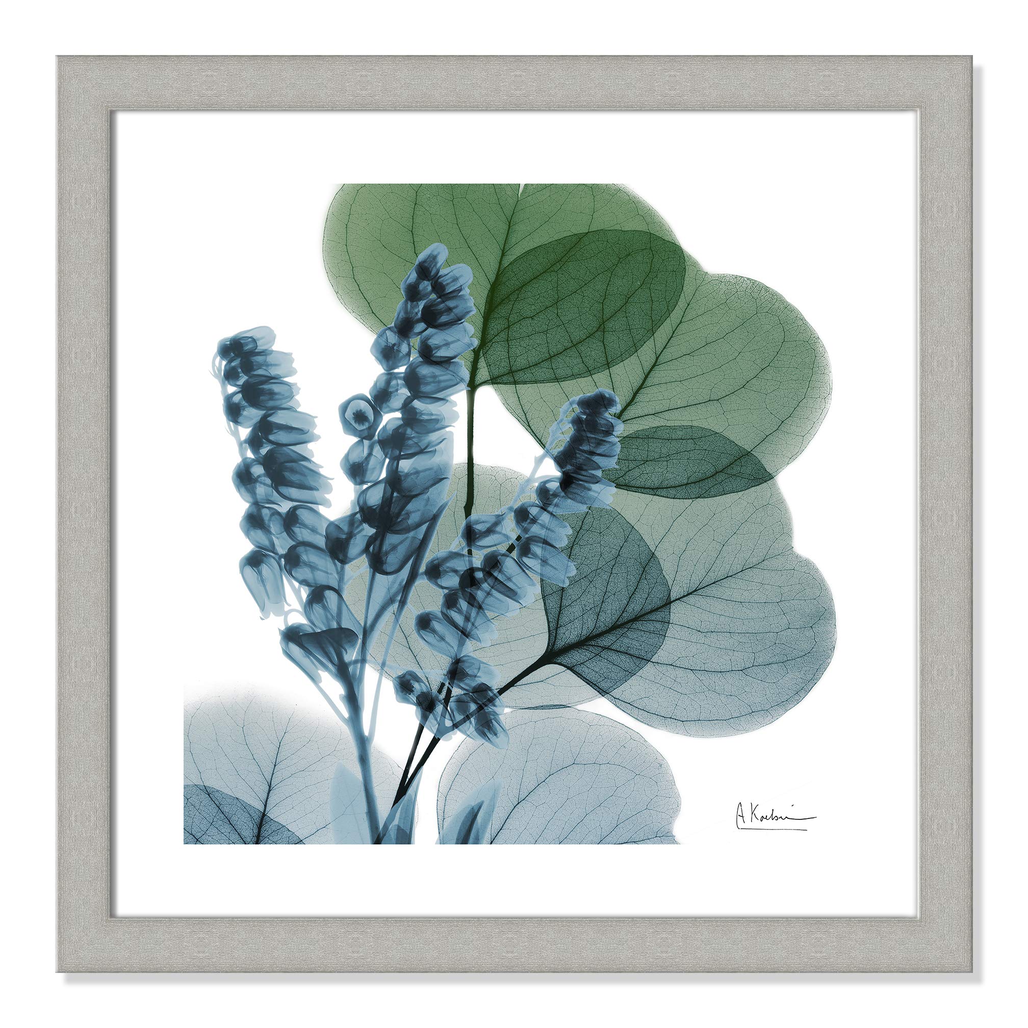 X Ray Floral Wall Art Decor For You
