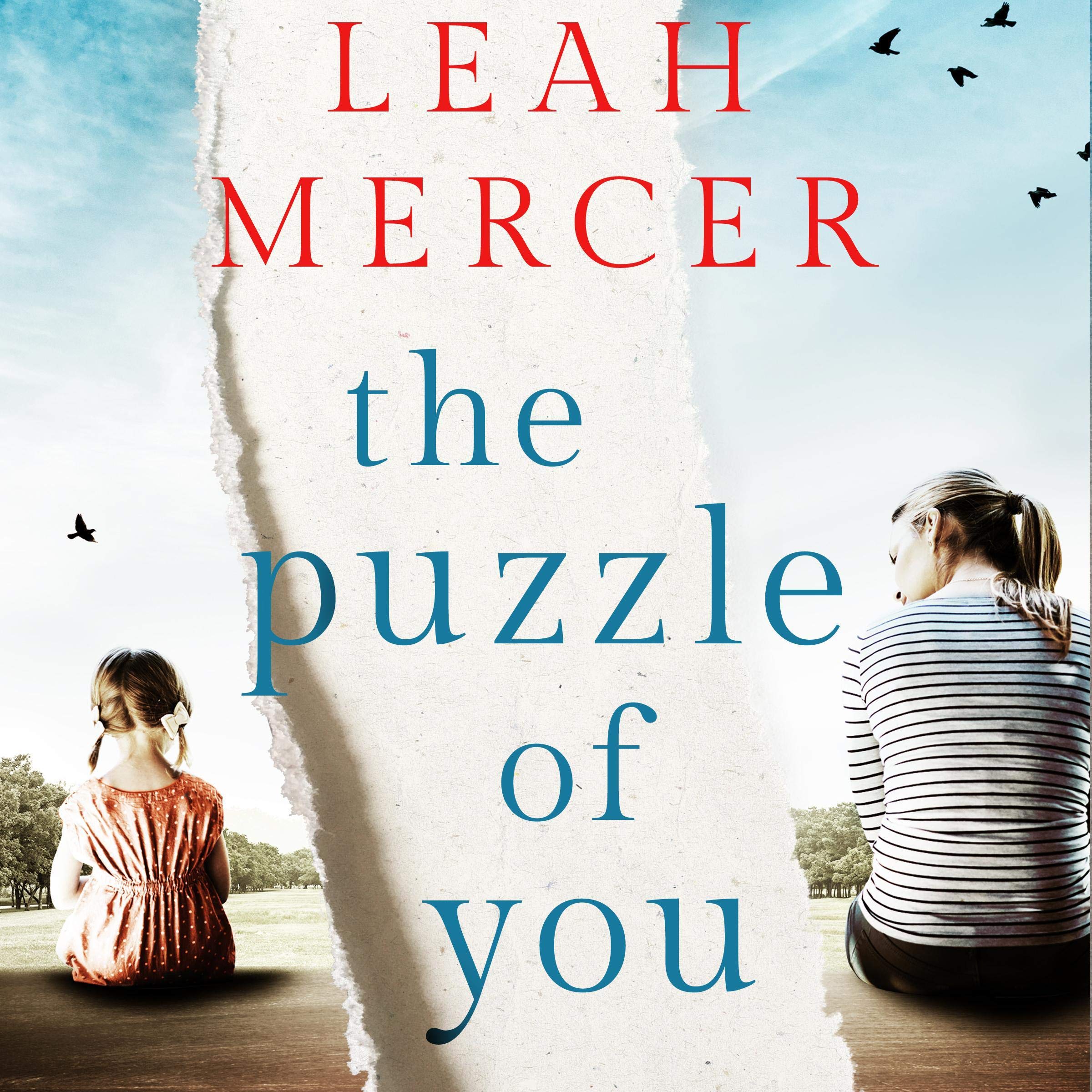Cover art for The Puzzle of You