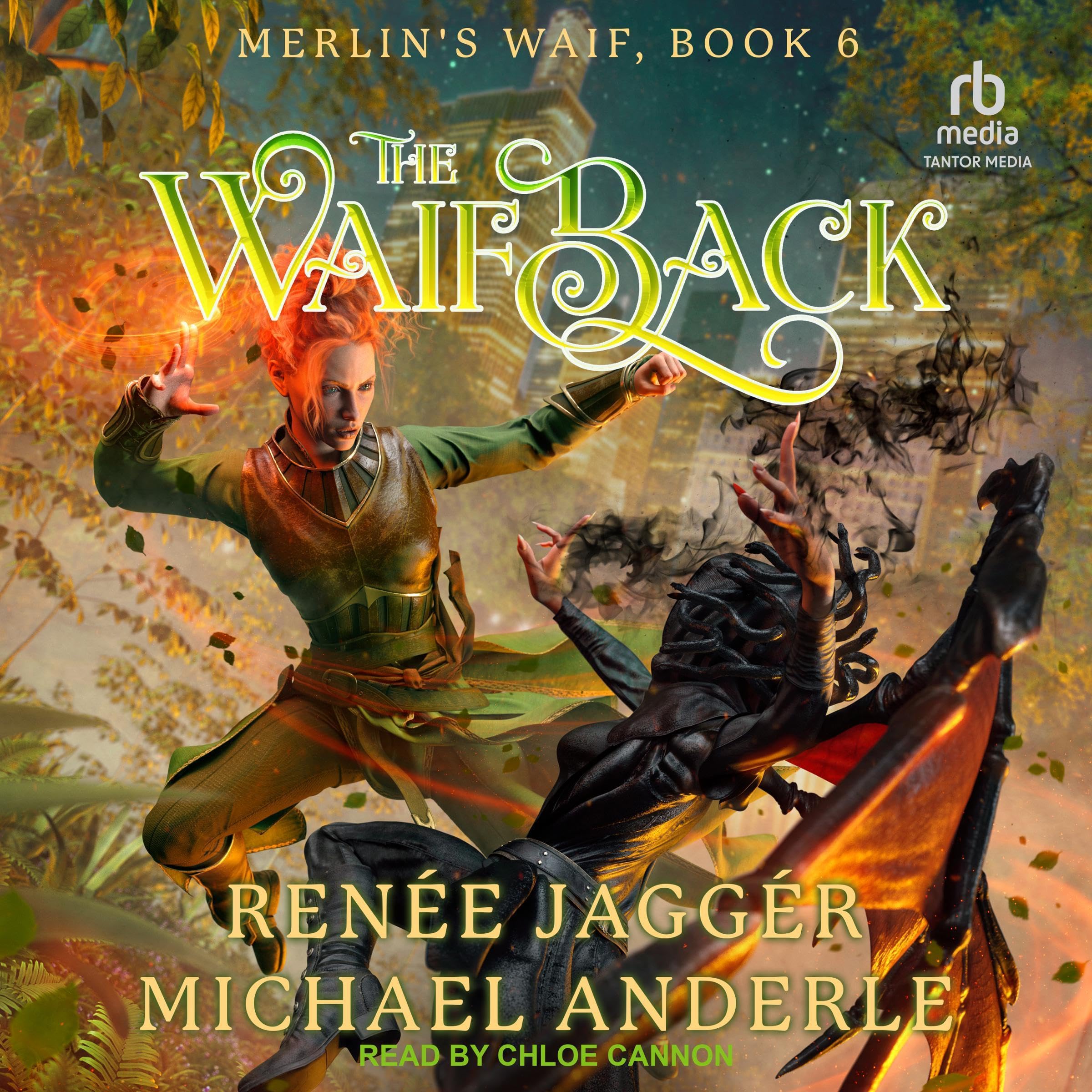 Cover art for The Waif Back