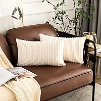Vista 375 de UGASA - Juego de 2 fundas de almohada de terciopelo a rayas, funda decorativa para cojín con cremallera oculta para el hogar, sofá, dormitorio