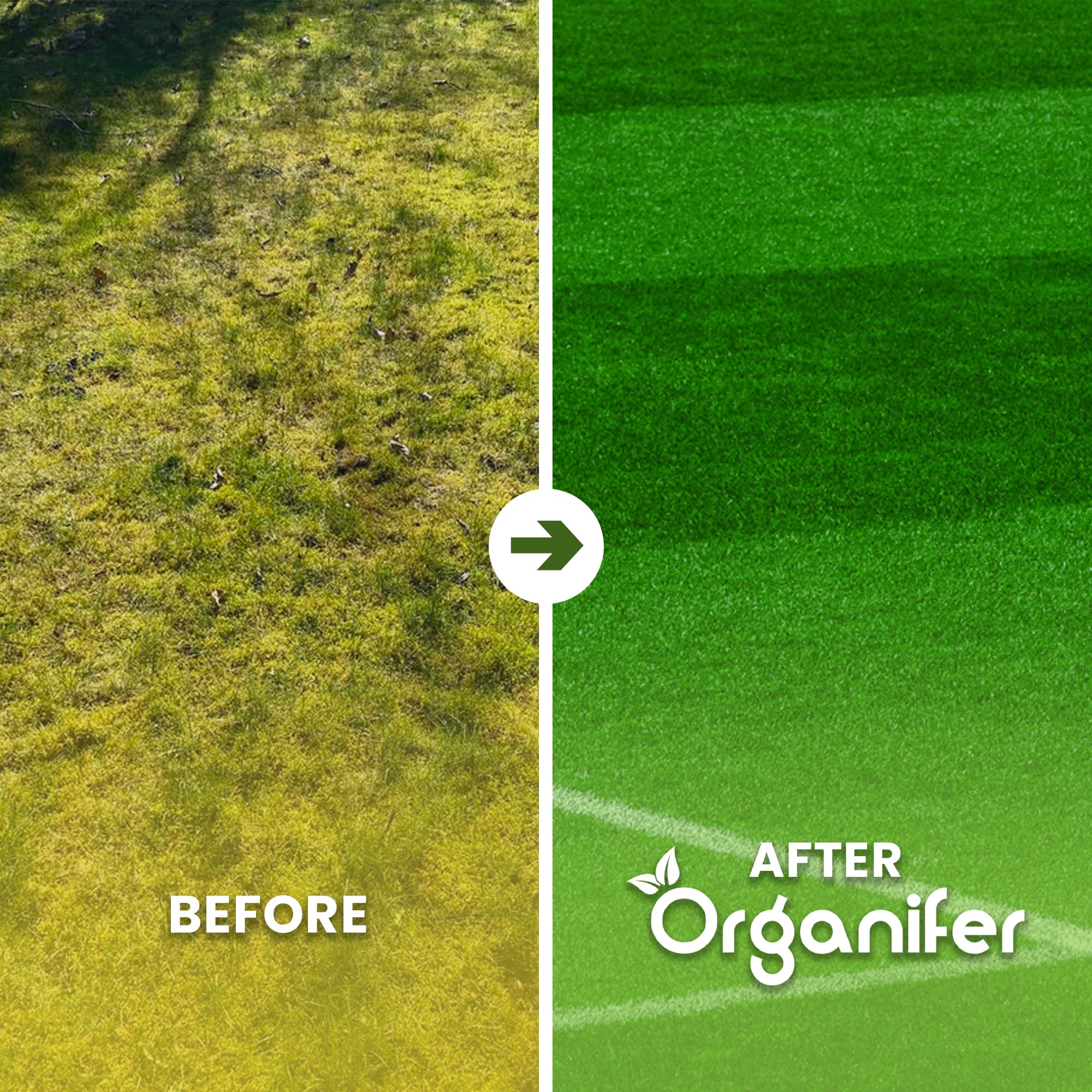 Engrais Pro Turf & Lawn (20 Kg - 665 M2) - Spécialement Pour Grandes Pelouses - Terrains De Sport Et Terrains De Golf - Libération Progressive - Npk+Mg+S (20+5+8 +4 +9) - Organifer
