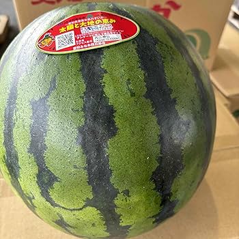 Amazon.co.jp: 田原の スイカ Lサイズ x 1玉 1玉の 重さ6kg以上