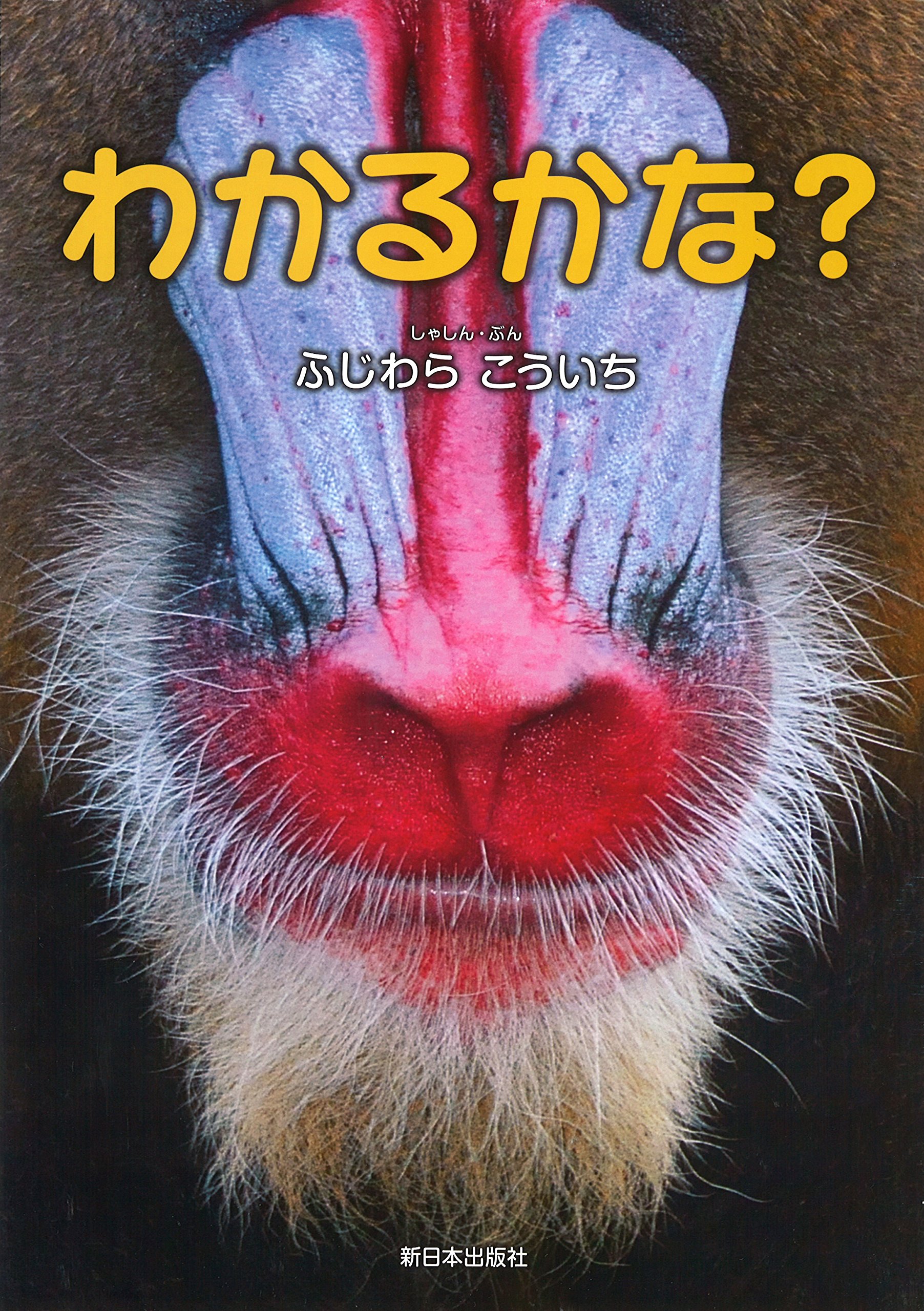 わかるかな？ | ふじわらこういち, ふじわらこういち |本 | 通販 | Amazon