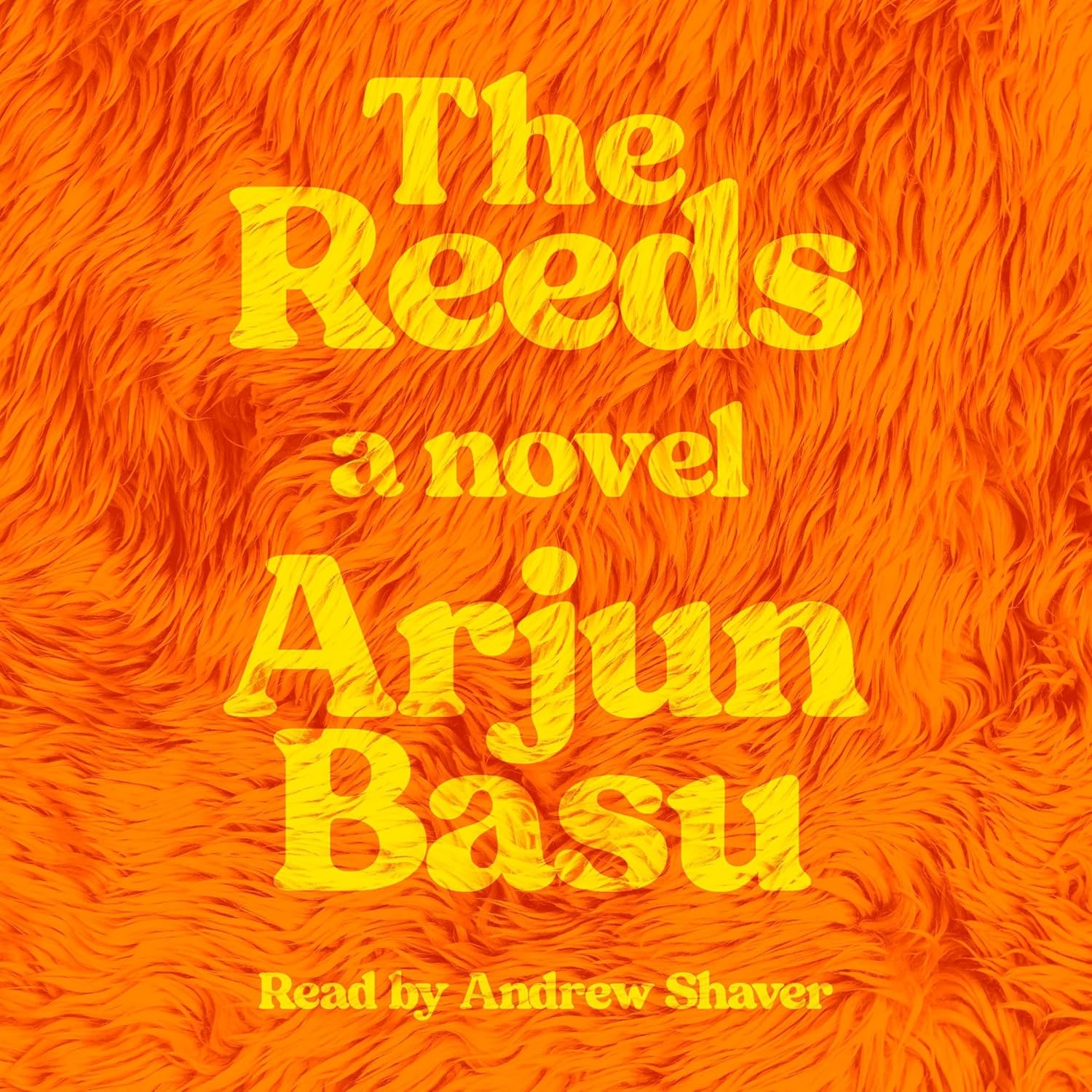 Arjun Basu The Reeds