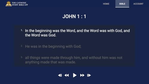 Catholic Study Bible App – vue 8