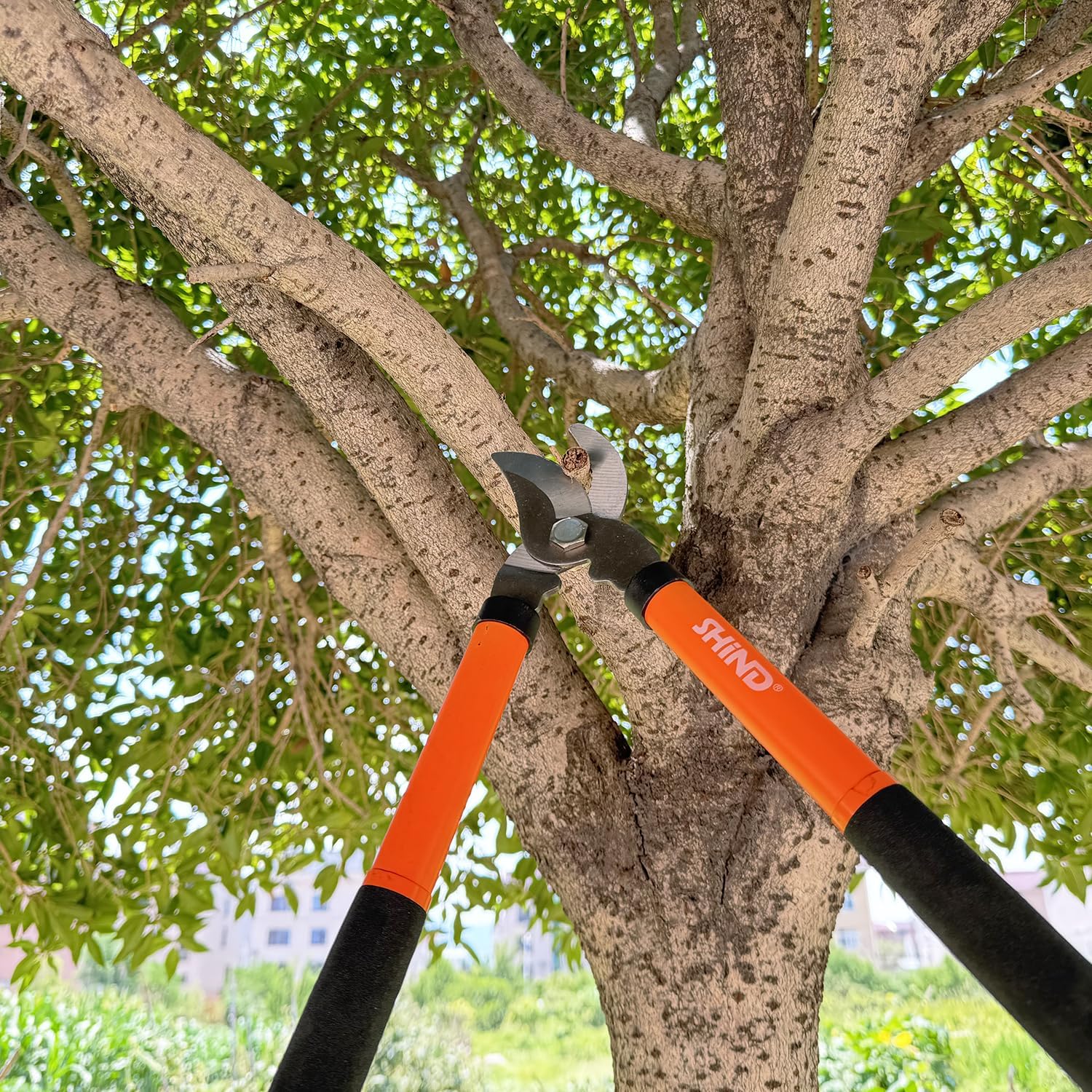 SHIND Lopper Heavy Duty Branch Cutter Tree Clippers with Compound Action, Chops Thick Branch Ease, Garden Loppers Pruning, 15 Inch Tree Trimmer with 1.6” Clean Cut Capacity (15 Inch) - Image 6