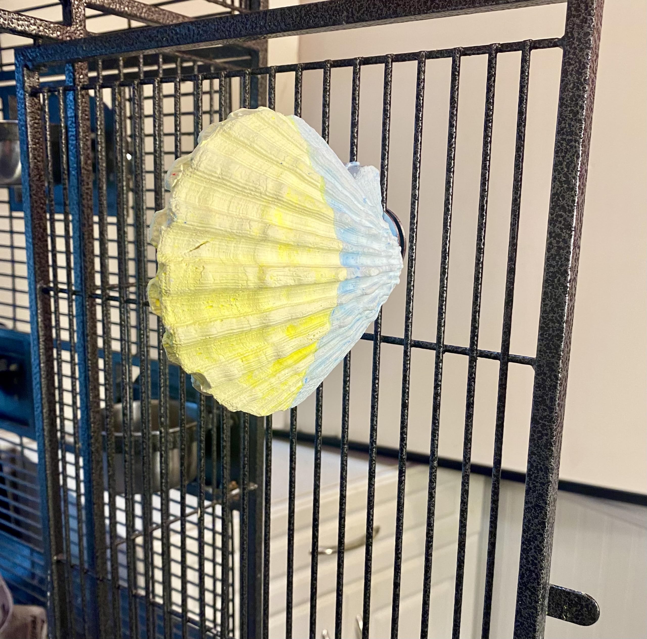 Polly's Comfy Clam Sitzstange Für Papageien – Flache Calcium-Stange Mit Seetang, Für Große Vögel