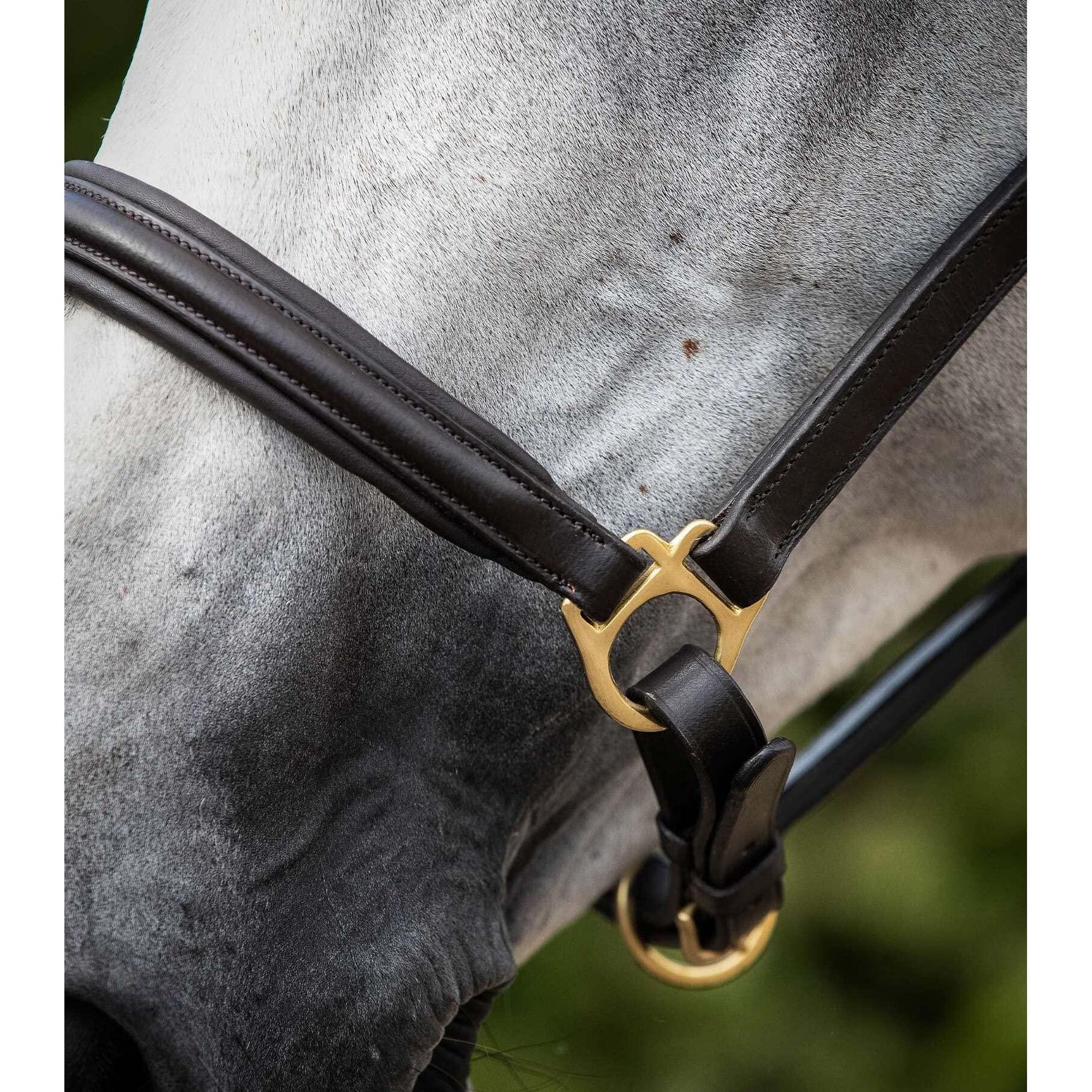 Premier Equine Cavallo imbottito in pelle
