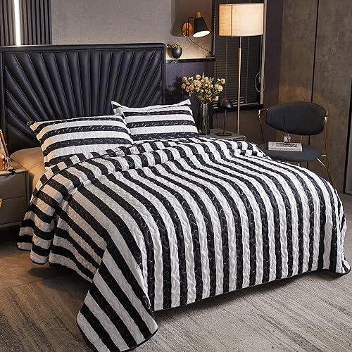 LAMEJOR Juego de edredón de rayas negras y blancas, tamaño Queen, juego de cama clásico de 3 piezas, funda de edredón de microfibra suave