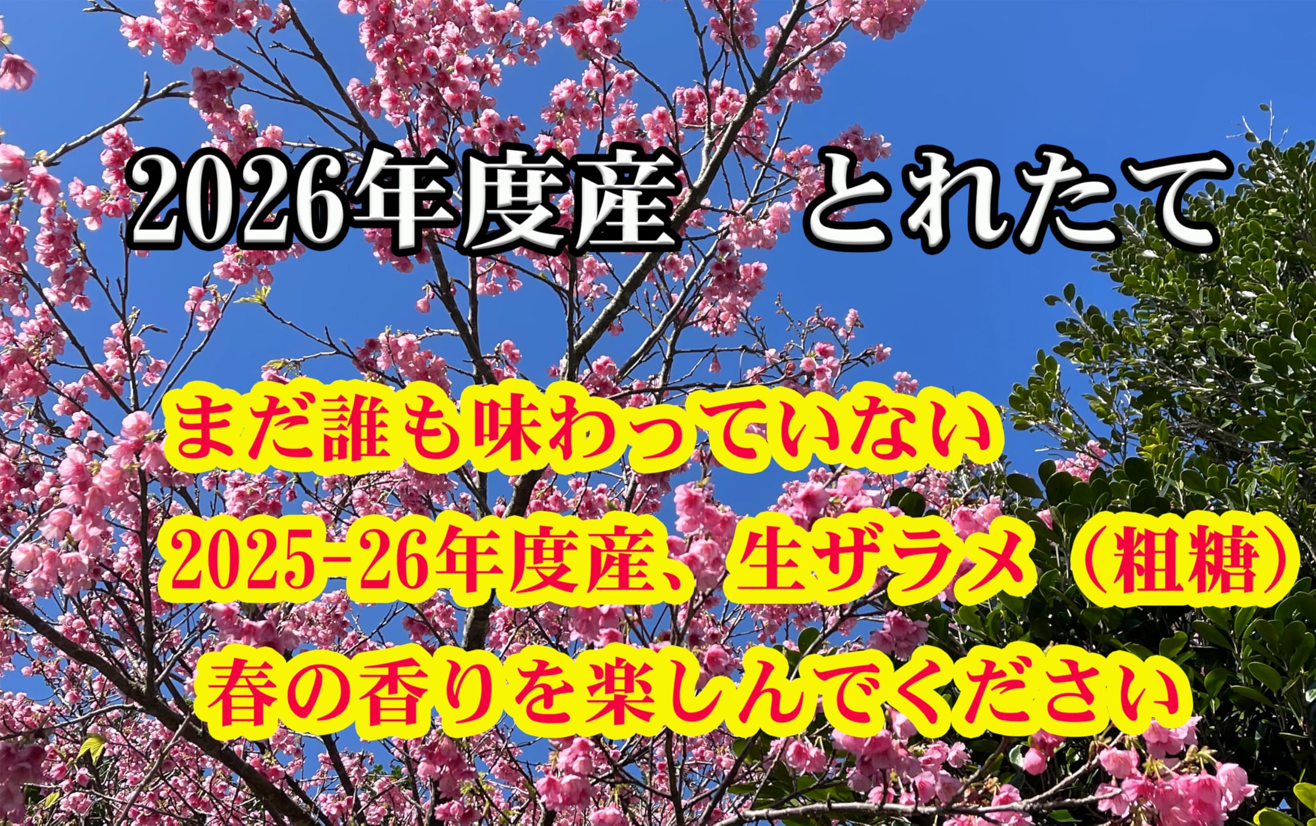 奄美 笠利町産 生産農家直送 きびざらめ 粗糖 きび砂糖 Amazon.co.jp