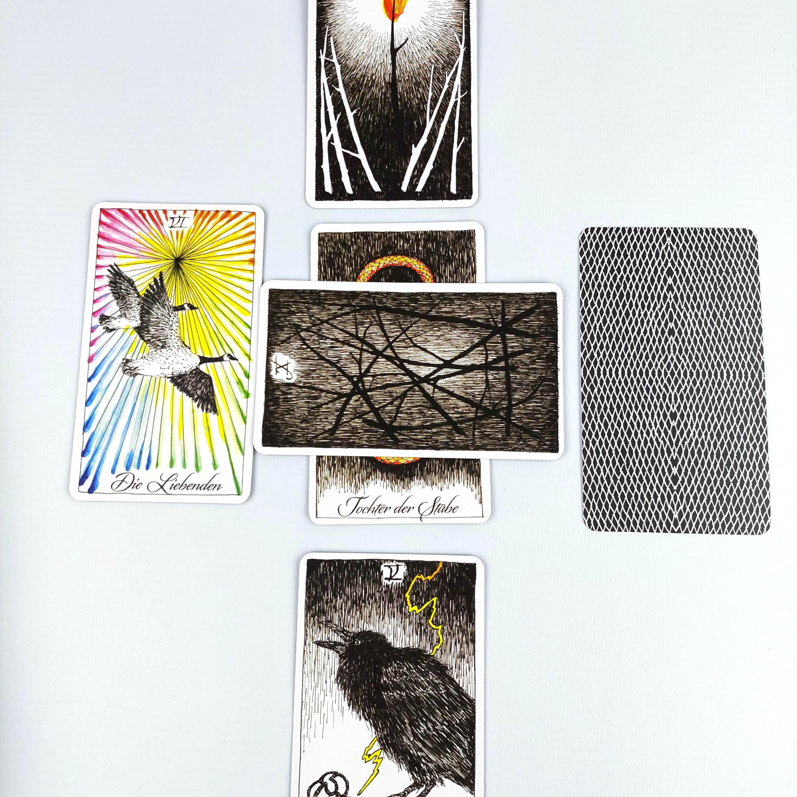 The Wild Unknown Tarot: 78 Tarotkarten und Begleitbuch. Deutsche Ausgabe des Besteller-Tarots