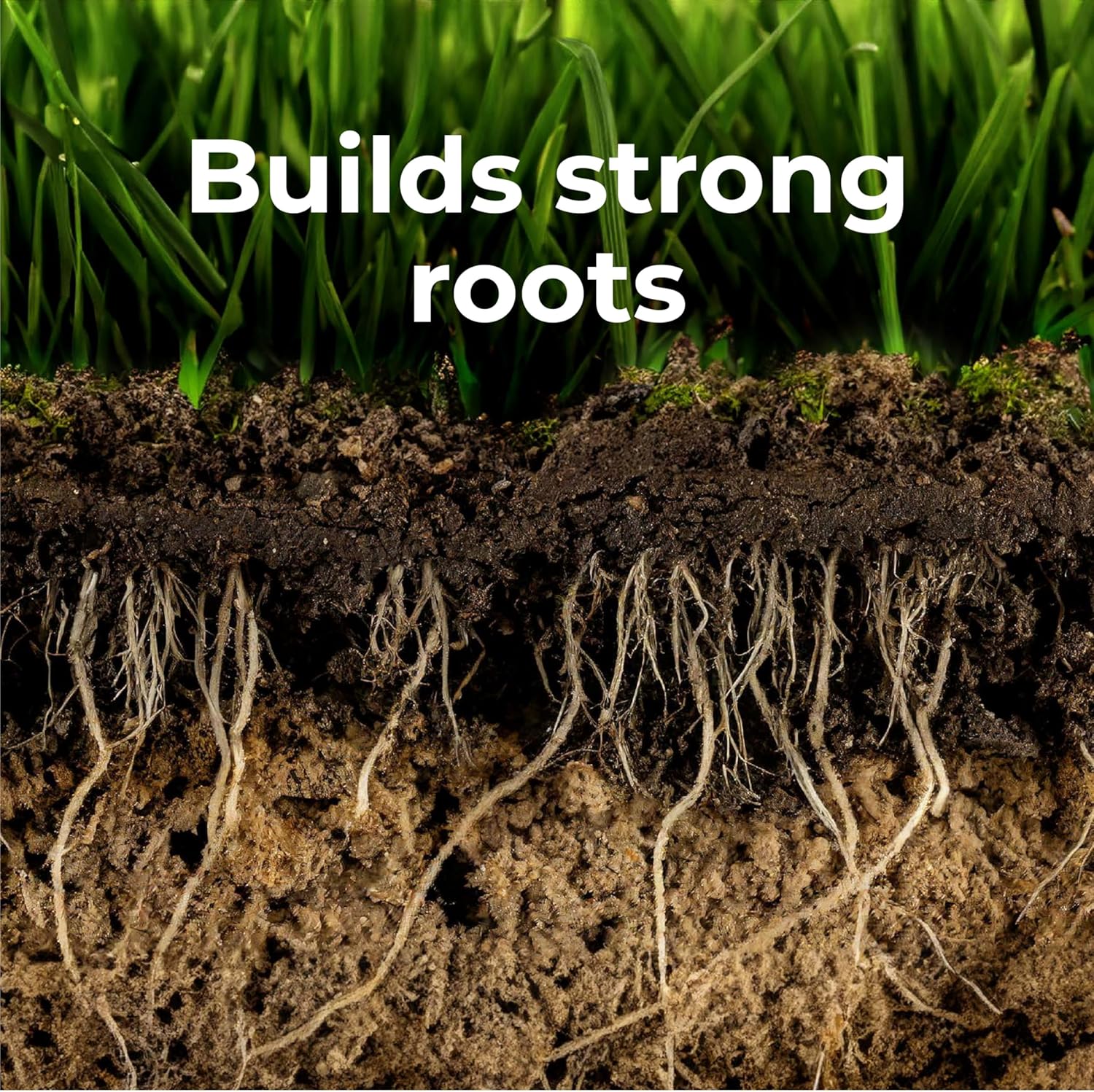 GreenView Premium Formula Spring Fertilizer Weed & Feed and Crabgrass Preventer - Kills Weeds, Prevents crabgrass, and fertilizes Lawn up to 6 Months, 36 lb. - Covers 10,000 sq. ft.