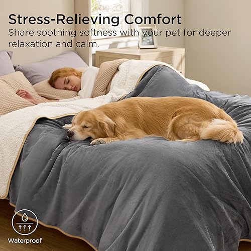 Miniatura 85 de Bedsure Manta de gato para gatos de interior – Manta impermeable calmante para proteger el sofá y la cama, manta de forro polar Sherpa