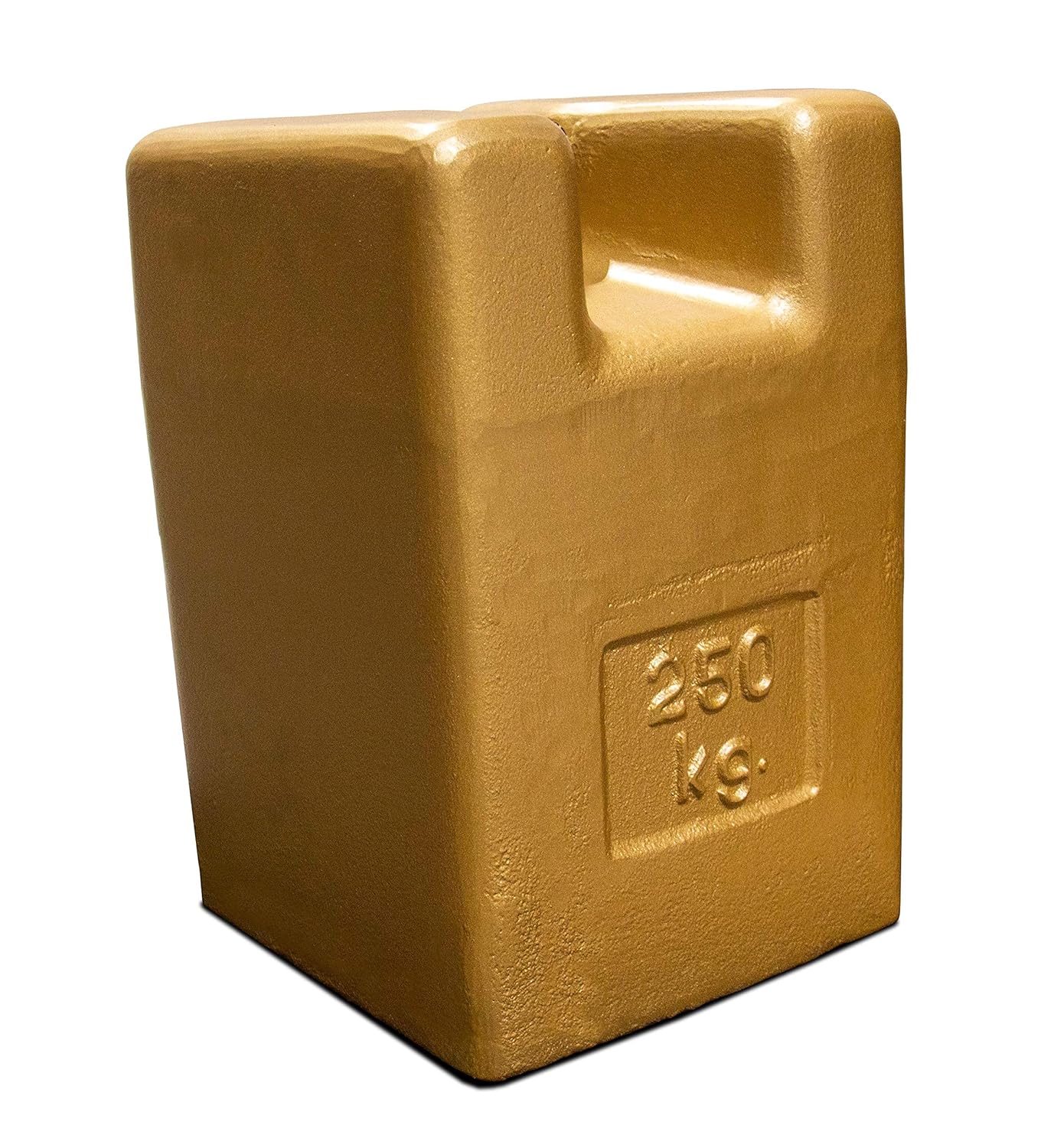 Rice Lake 12839 Cast Iron Painted Grip Handle Test Weight, 50lb Mass, NIST Class F