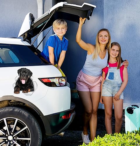 Miniatura 4 de Winston & Bear Calcomanías Rottweiler amigables con 3D, paquete de 2 calcomanías de pared Rottweiler, regalos para amantes de los perros,