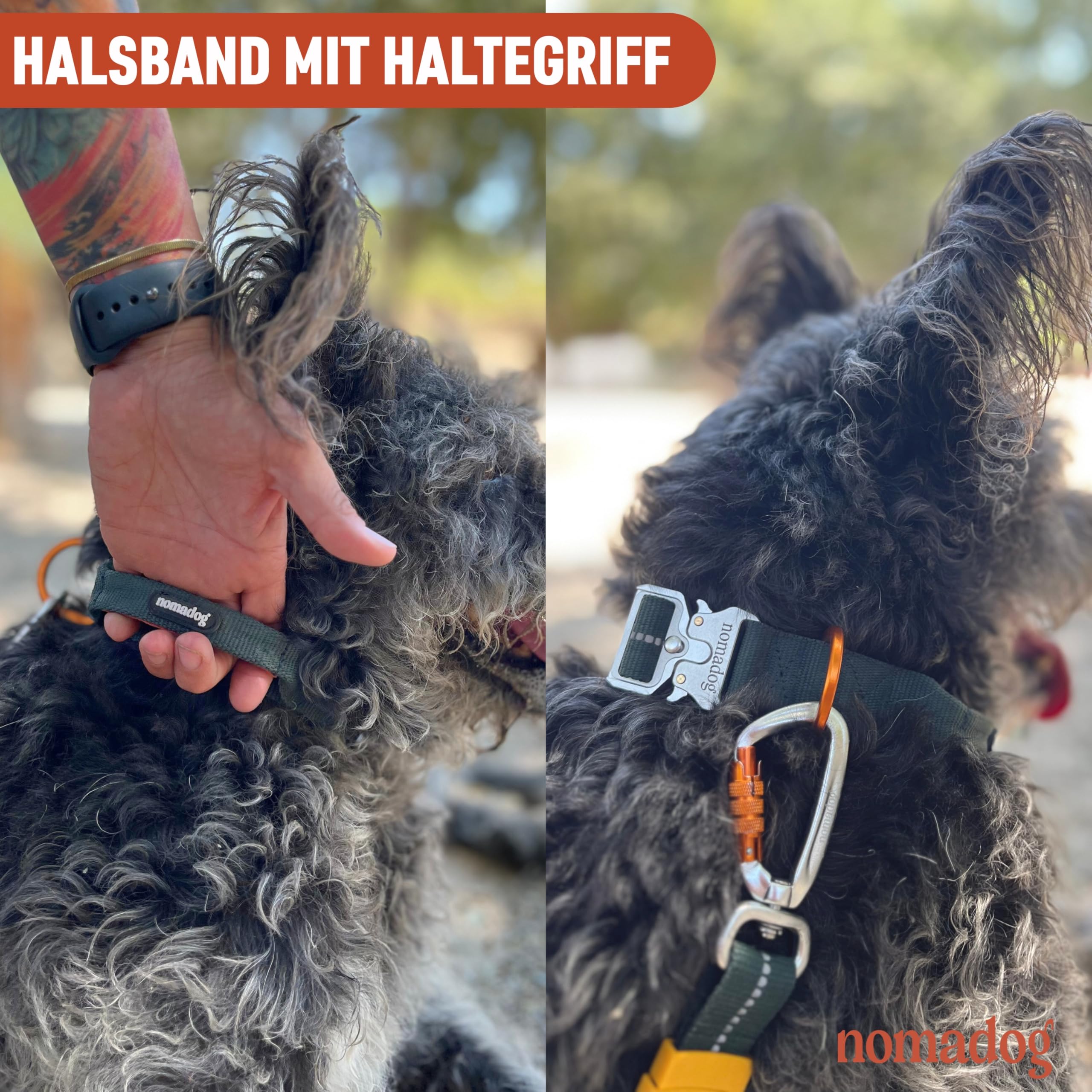 Nomadog Trailblazer Hundehalsband mit Griff für Große Hunde - Premium Aluminium Schnalle, Strapazierfähiges taktisches Halsband, Verstellbar, Gepolstert, Reflektierend (XL)