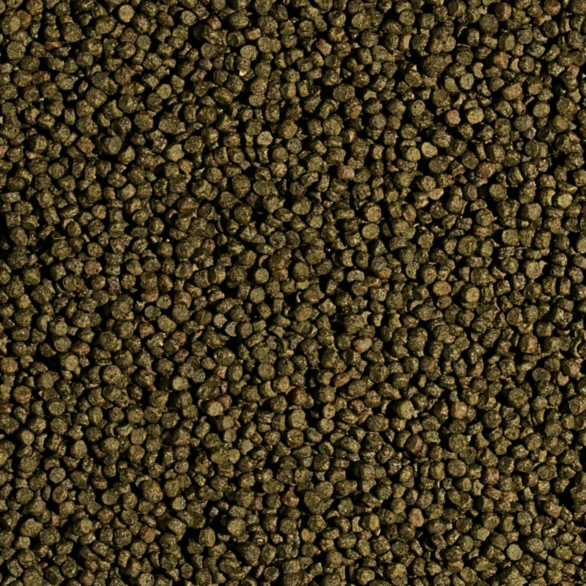 KOI SPIRULINA Taglia S - Alimento Per Pesci Da Laghetto 1000ml | Con Proteine Vegetali