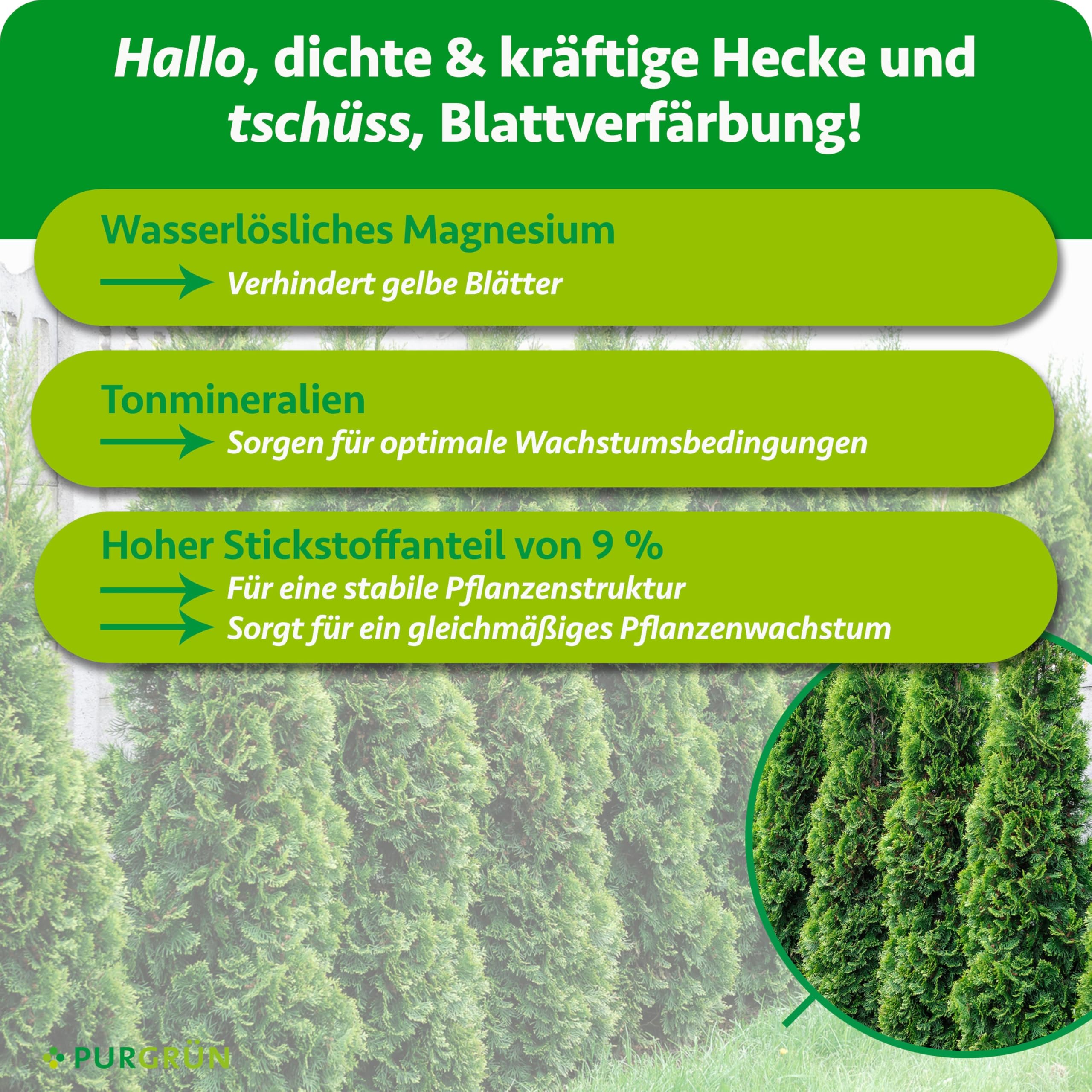 Thuja-Dünger 1 kg – Extra Magnesium schützt vor Nadelverfärbungen – Fördert schnelles Wachstum für eine dichte Hecke – Tonmineralien für einen gesunden Boden – Granulat für ca. 25 Pflanzen