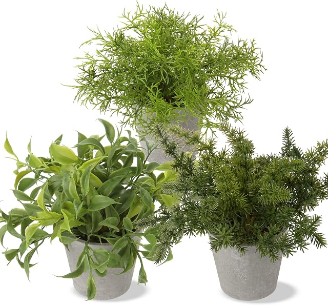 Oairse 3 Pack Artificial Plant in Pots Fake Rosemary Plant Artificial Grass Small Fake Plants Indoor Faux Plant Potted for Home Office Bedroom Kitchen Room Table Decoration