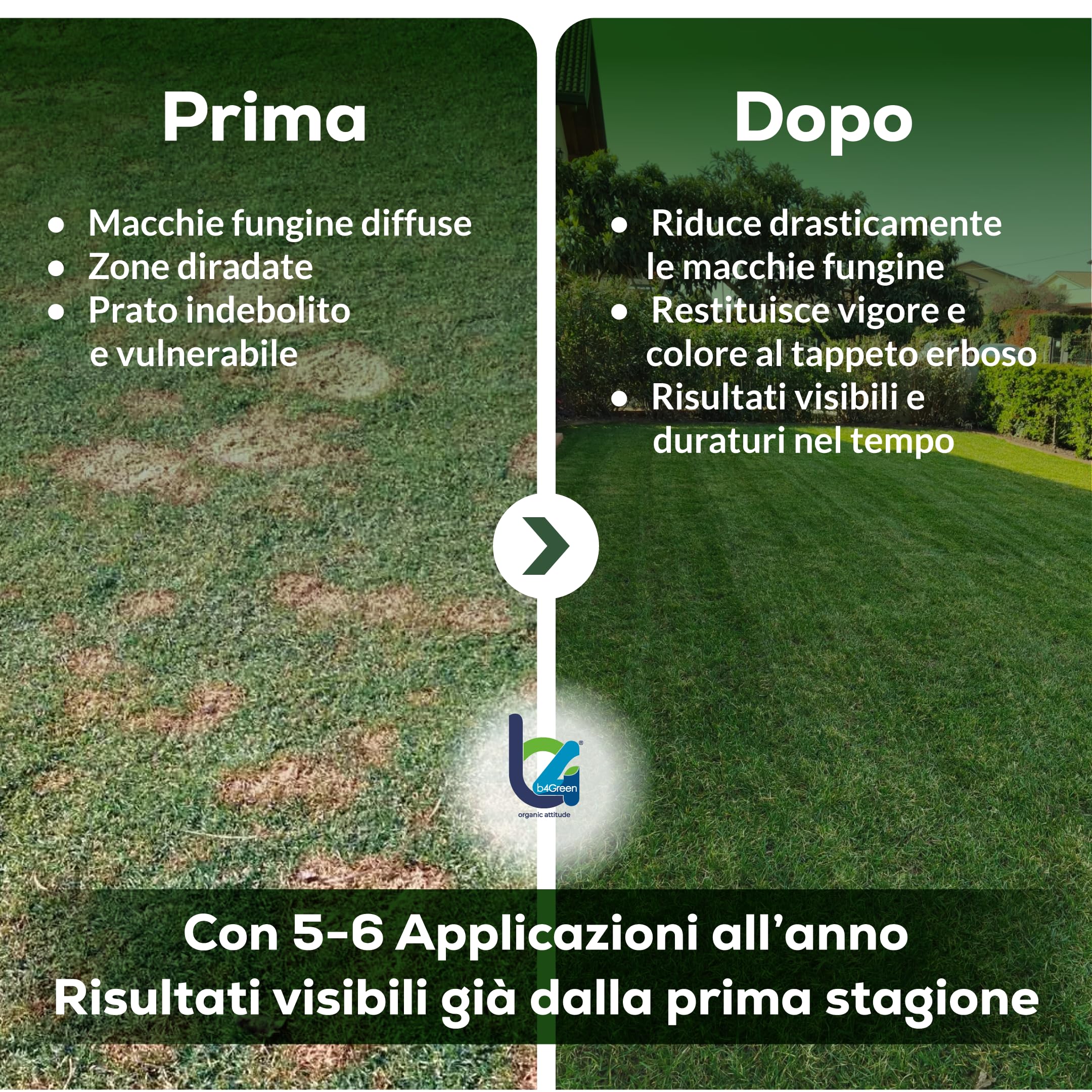 B4Green Protegge Prato (500m²) Funghicida per Prato Naturale Bio 250ml | Fungicida per Prato contro malattie fungine e prato malato, Micorrize Bio e Trichoderma per un tappeto erboso sano e verde