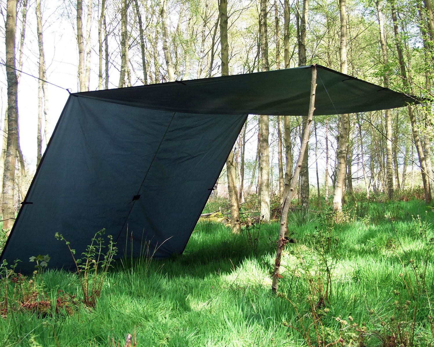 DDタープ 4x4 DD Tarp OLIVEGREEN DD Tarp 4x4 オリーブグリーン DD HAMMOCKS DD TARP 4x4