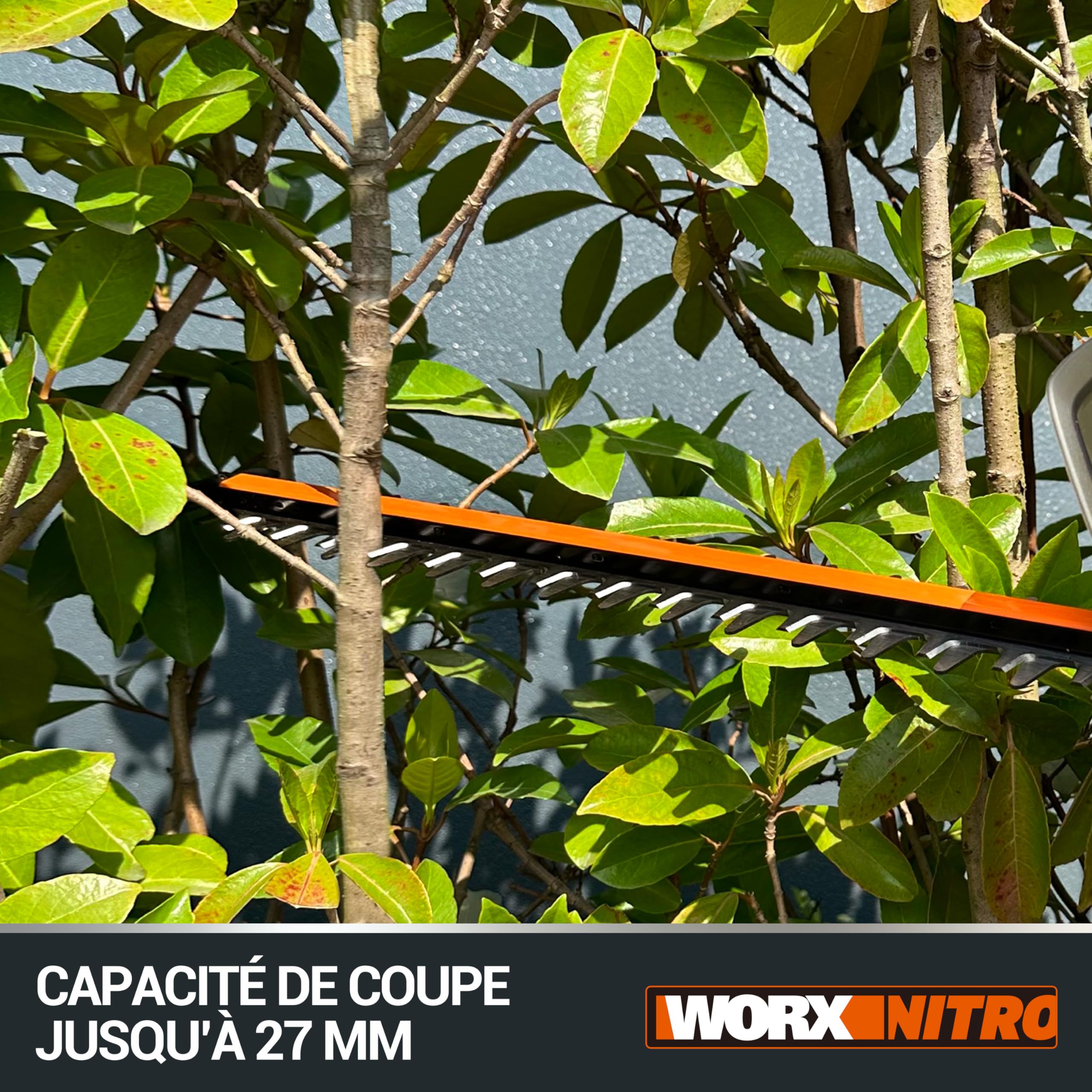 Pack WORX Nitro Taille-Haies sans Fil 20V WG263E.9 + Kit Batterie 4Ah, Chargeur Rapide, Lame Double Action de 56 cm, écartement de 27 mm, Moteur Brushless, Léger et Ergonomique, foureau de Protection