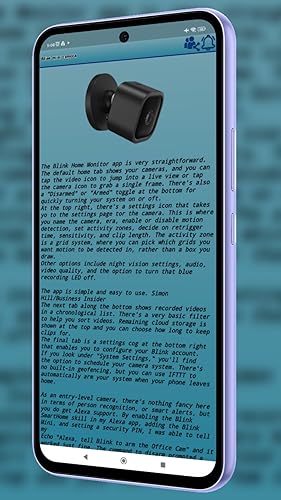 Blink mini app