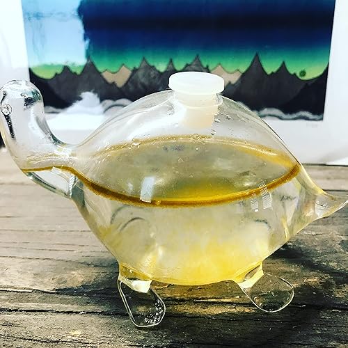 Miniatura 8 de The Living Bio-Turtle Bioluminiscente - Un microacuario de tortuga de vidrio relleno de plancton bioluminiscente brillante