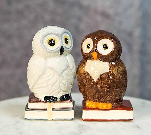 Ebros Gift Wisdom Of The Woods - Juego de figuras de cerámica para saleros y pimenteros de 3.5 pulgadas de alto, búhos marrones con cuernos y búhos